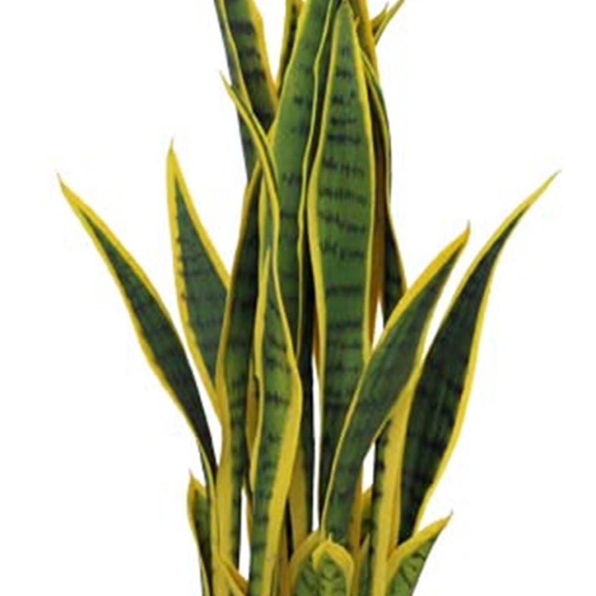 70cm Artificial Sansevieria Snake Plant in Pot