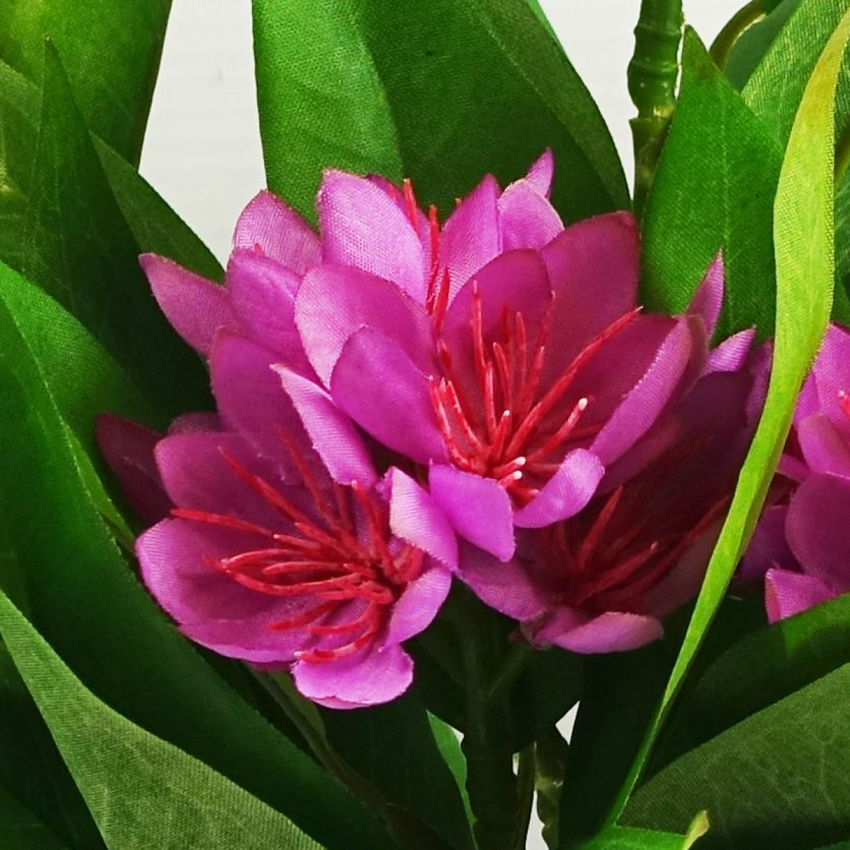 Leaf 3 x 18cm Artificial Freesia Plants, Pink, Orange & Yellow
