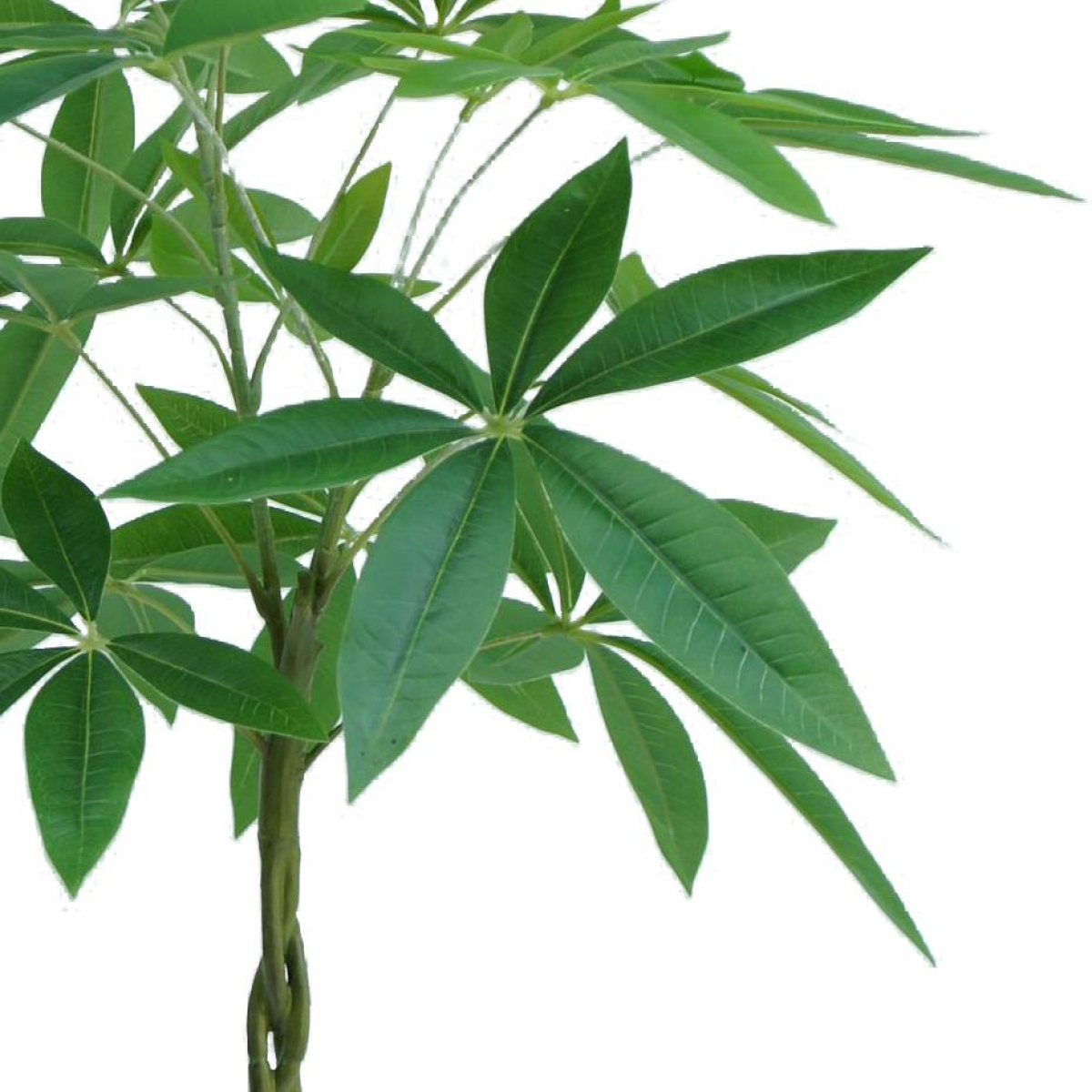 Leaf 70cm Artificial Money Tree Pachira Realistic Faux Plant in Black Pot