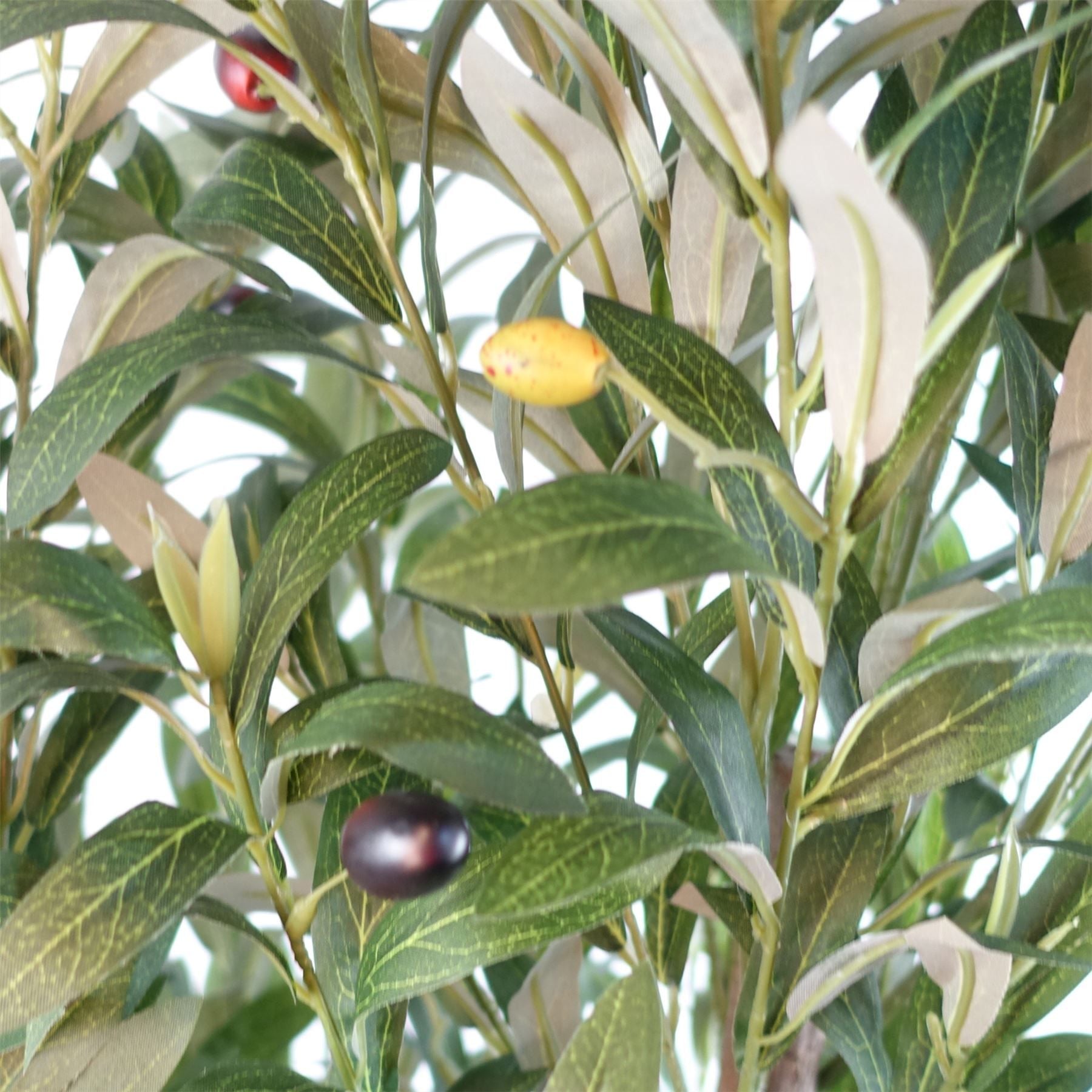 Leaf 150cm Artificial Natural Look Olive Tree with Natural Trunk and Silk Foliage, Fully Potted