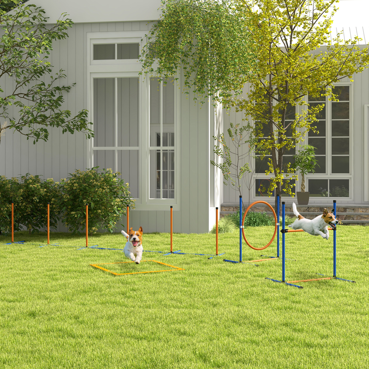 PawHut 4-Piece Dog Agility Training Kit with Carry Bag