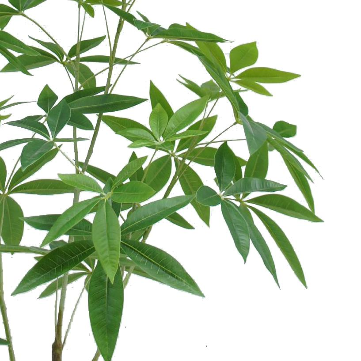 Leaf 120cm Artificial Money Tree Pachira Realistic Faux Tree in Black Pot