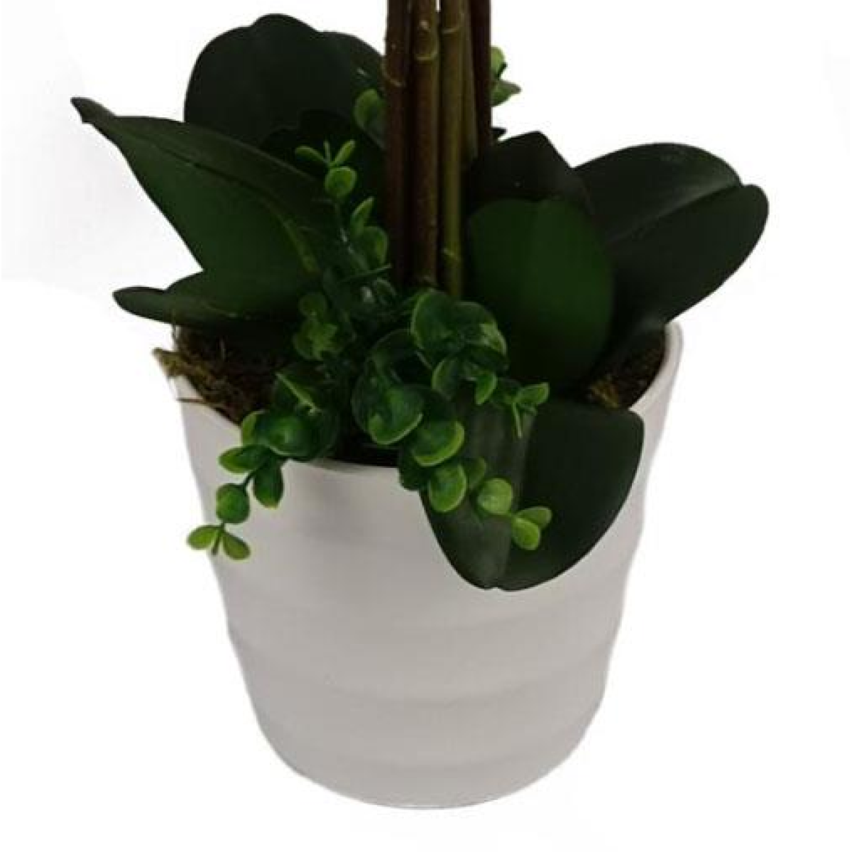 Leaf 85cm Artificial Deluxe Bush Orchid with Large White Flowers in White Pot