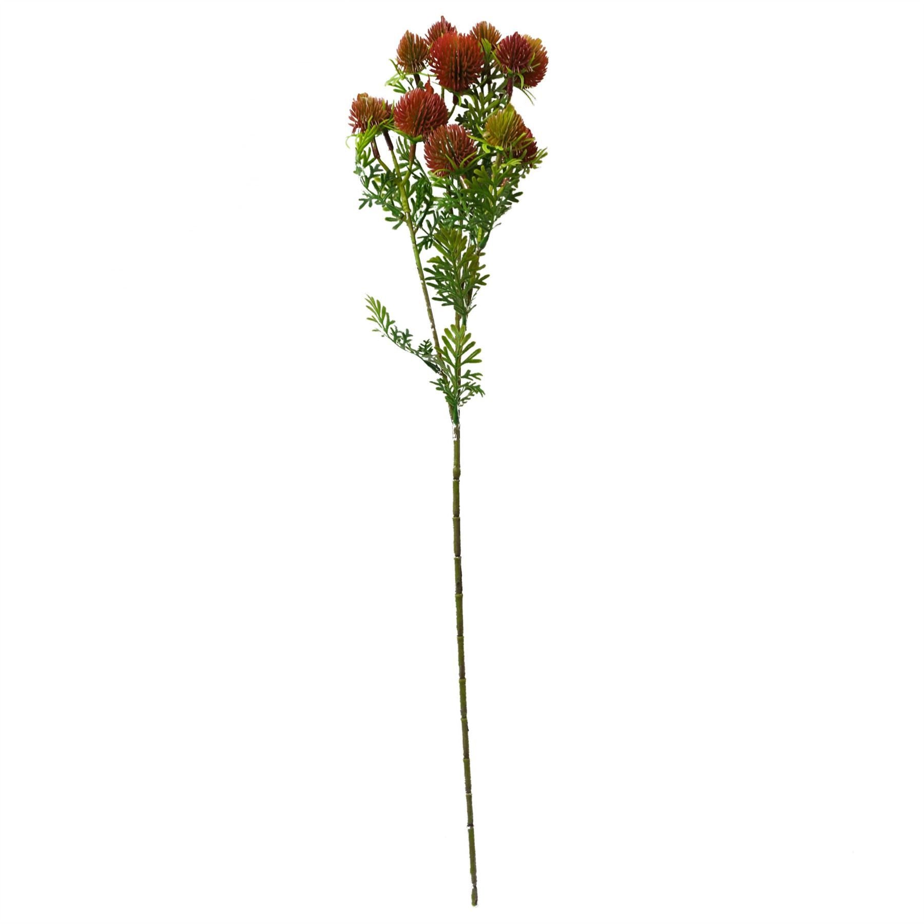 Pack of 6 Red Artificial Craspedia Stems 55cm Wired Shapable