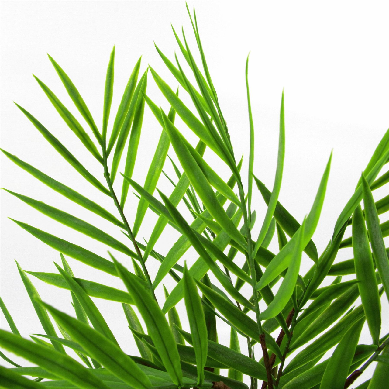 40cm Artificial Bamboo Palm Bush Plant, Bare Stem, Unpotted by Leaf Design UK