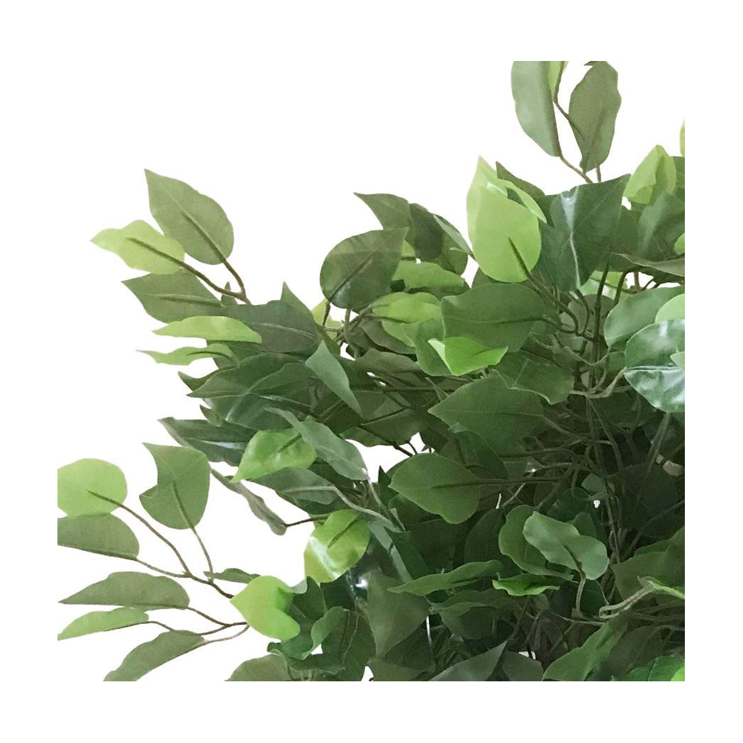 Leaf Design UK 60cm Realistic Artificial Ficus Tree Plant