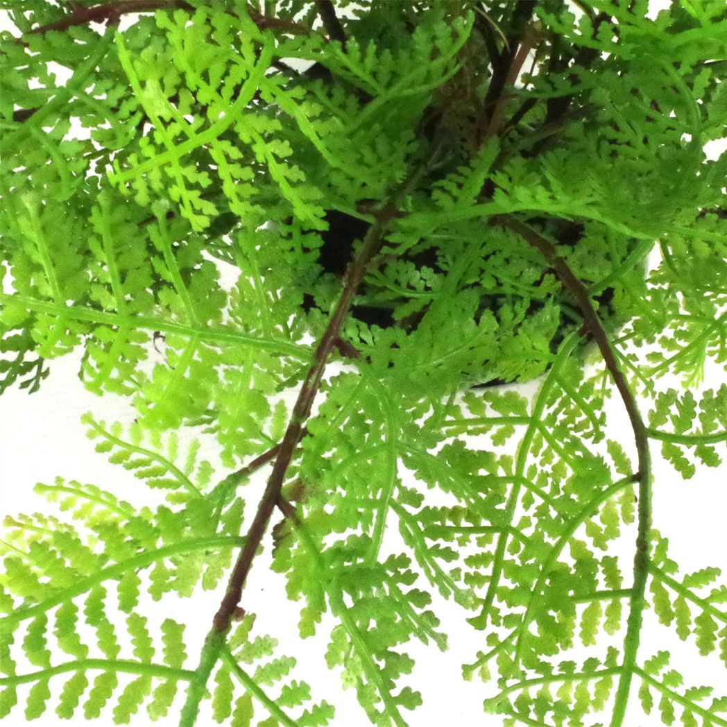 Leaf 30cm Realistic Artificial Potted Lady Fern (Athyrium Filix-Femina) in Weighted Plastic Pot