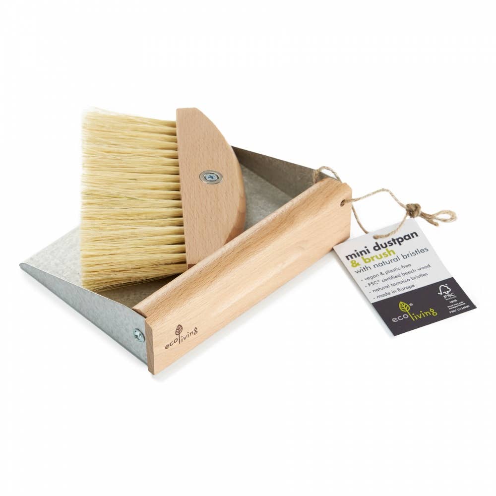 Mini Dustpan Set with Magnets