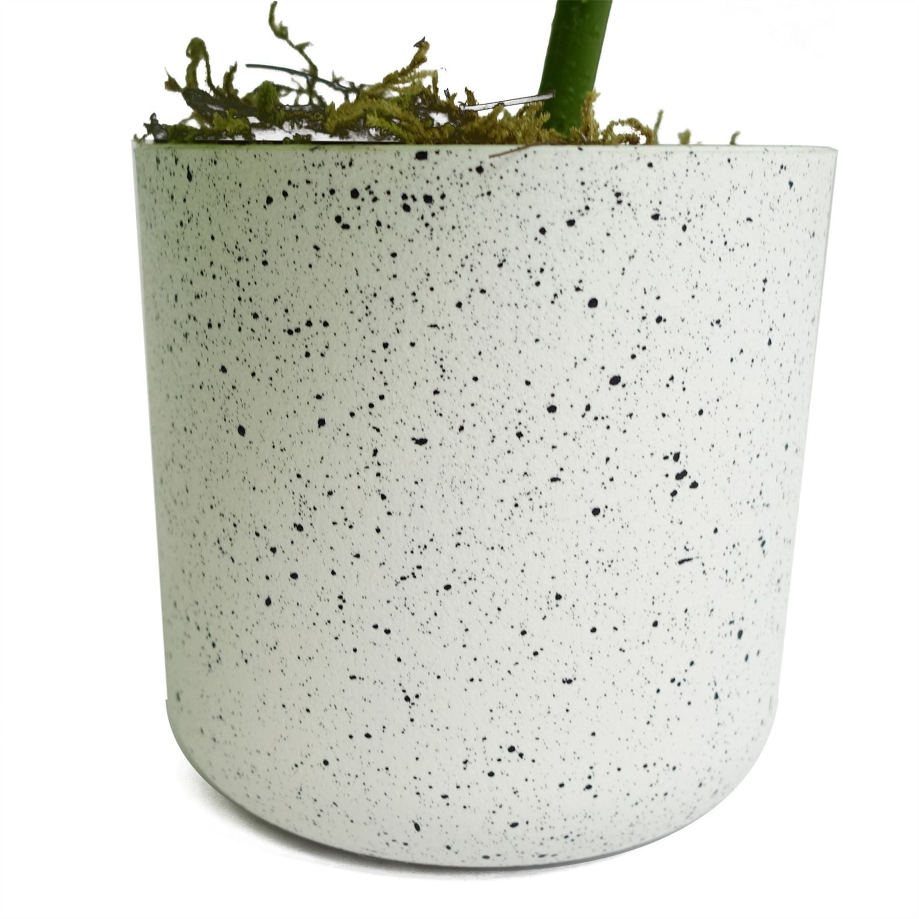 Leaf 30cm Artificial Green Potted Monstera Trailing Plant in Decorative Weighted Pot