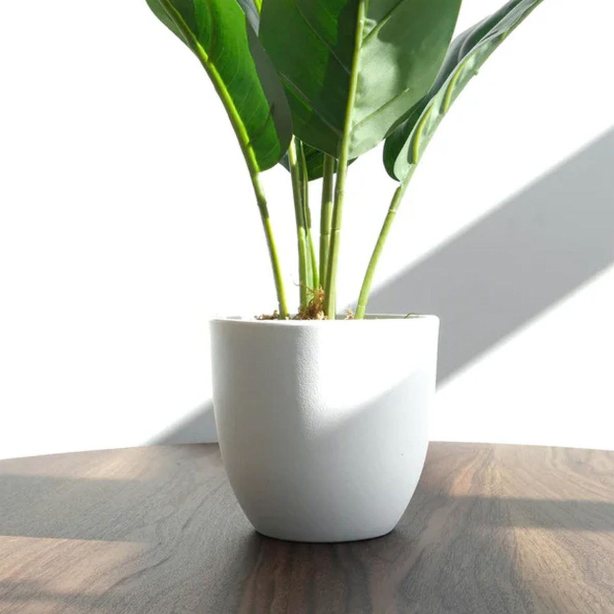 Leaf 45cm Artificial Aureum Artificial Plant in Pot