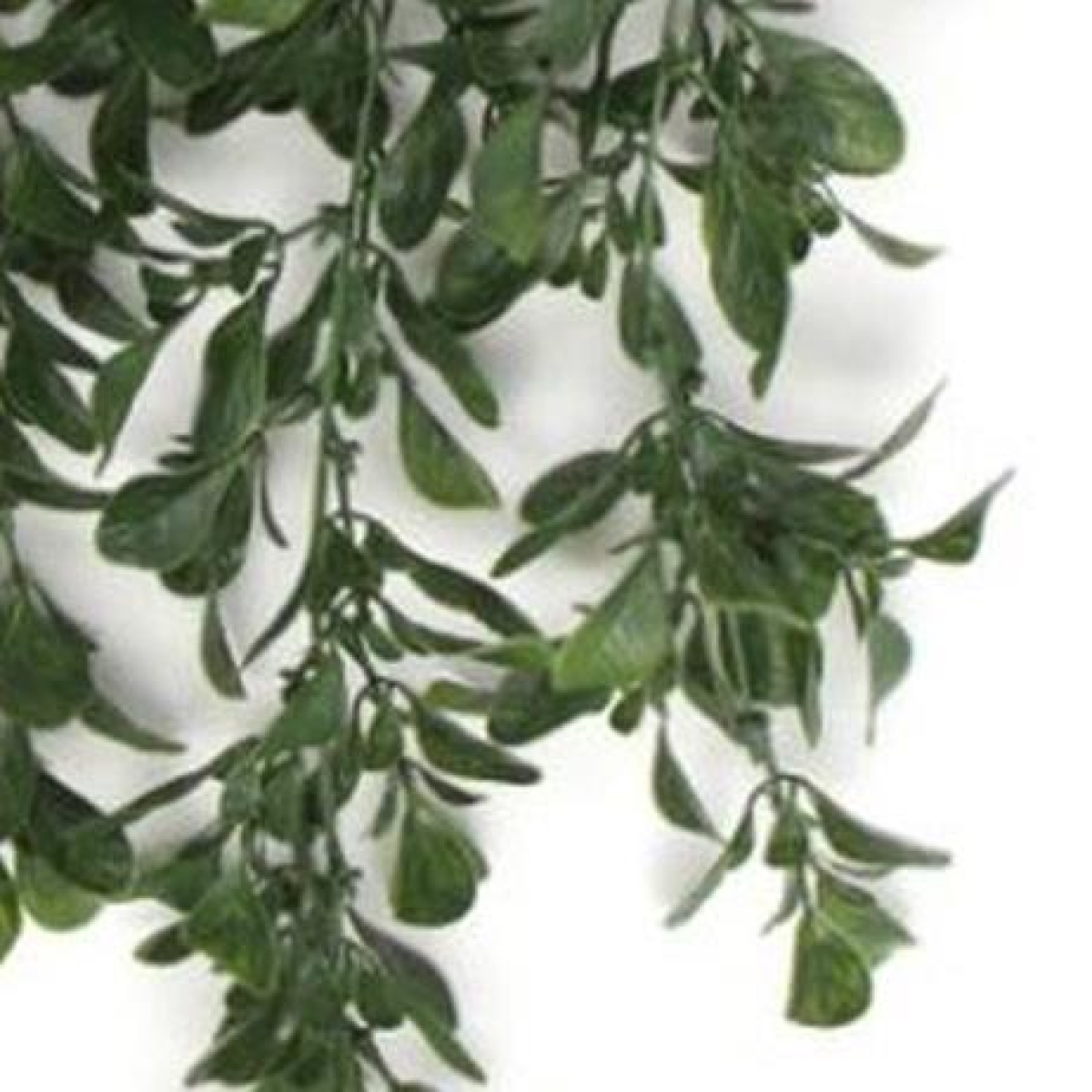 Leaf 68cm Hanging Artificial Peperomia Plant, UV and Fire Resistant