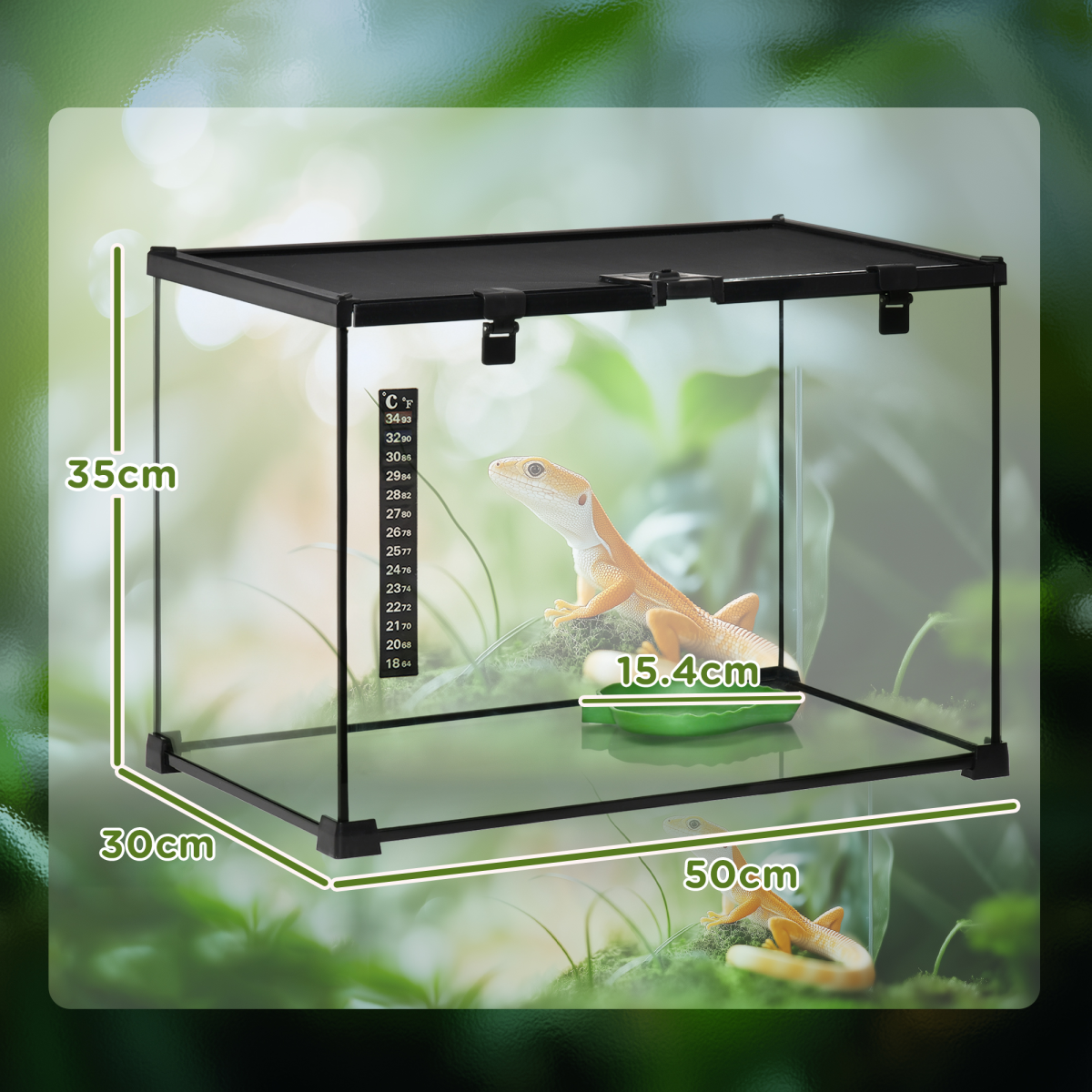 PawHut 50 x 30 x 35 cm Reptile Terrarium, Lockable Wire Mesh, Full-View, Black, for Lizards, Horned Frogs, Snakes