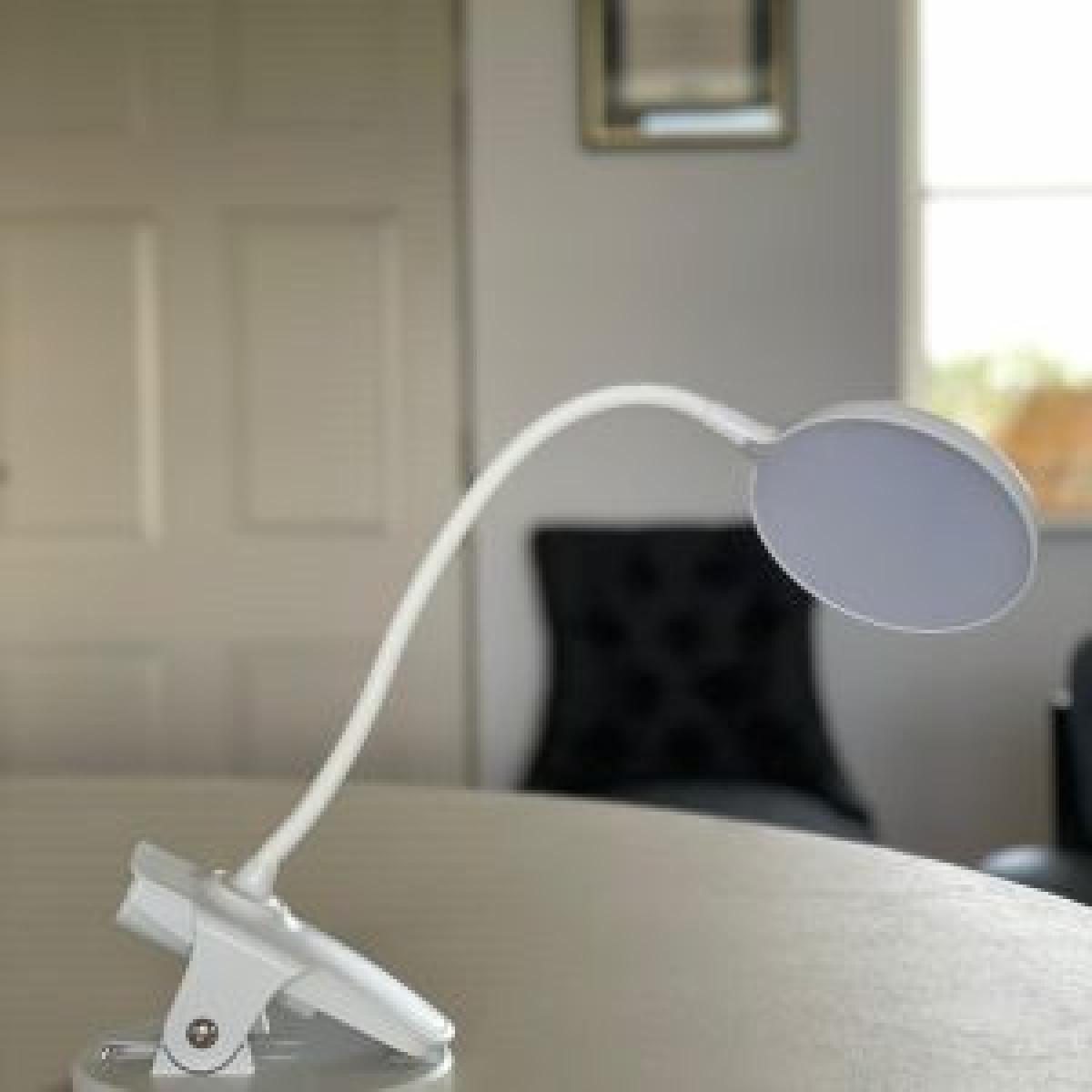 Native Lighting Clip-On Mini Desk Lamp with Flexible Gooseneck