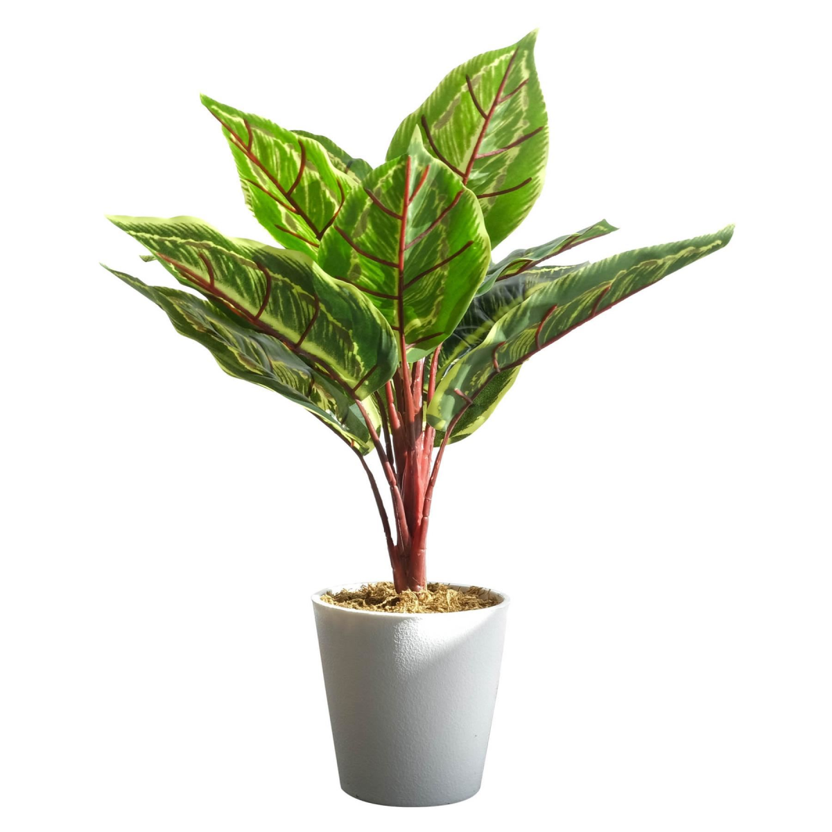 Leaf 38cm Artificial Potted Calathea Veitchiane Plant