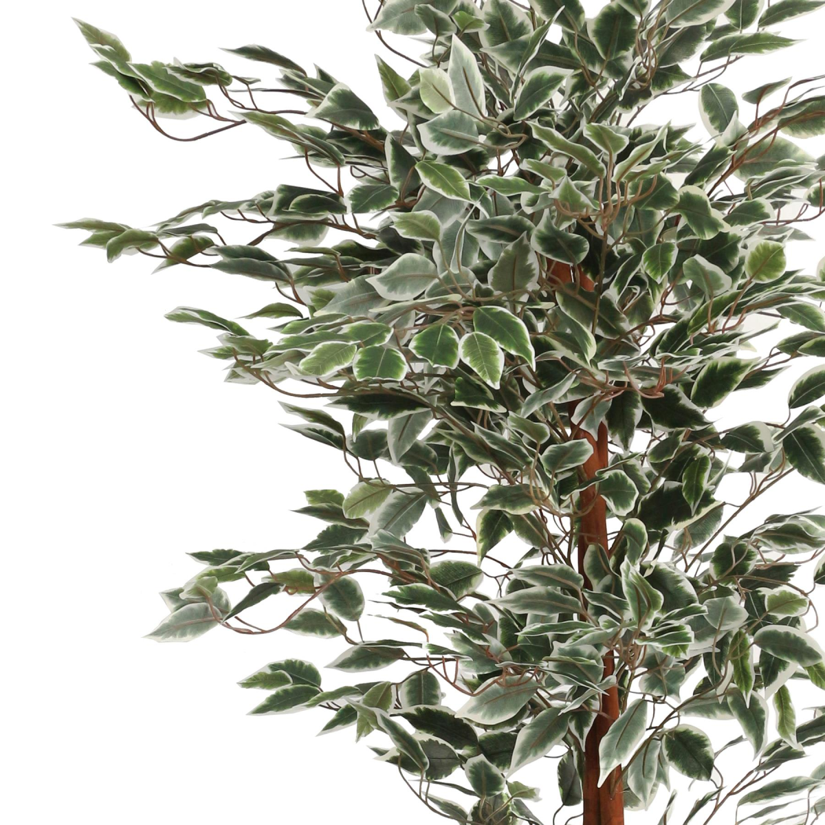 Leaf 160cm Artificial Ficus Potted Plant with Variegated Leaves