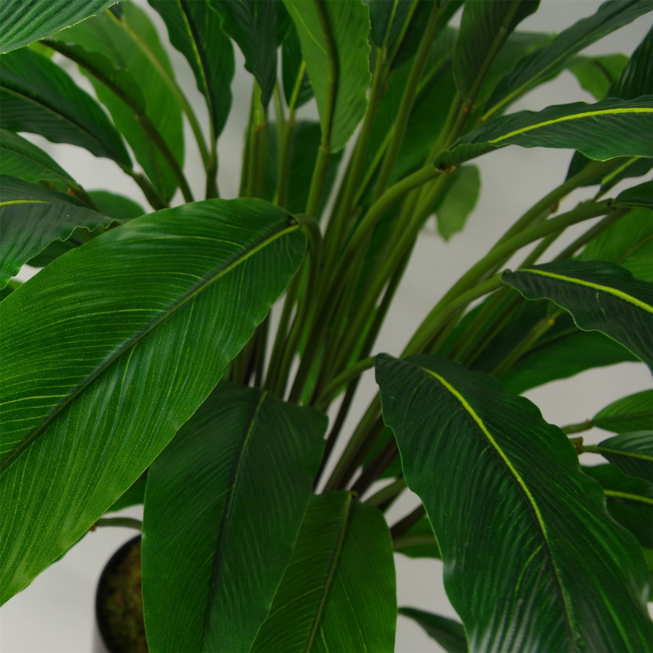 60cm Realistic Artificial Calathea Plant Full and Bushy Replica
