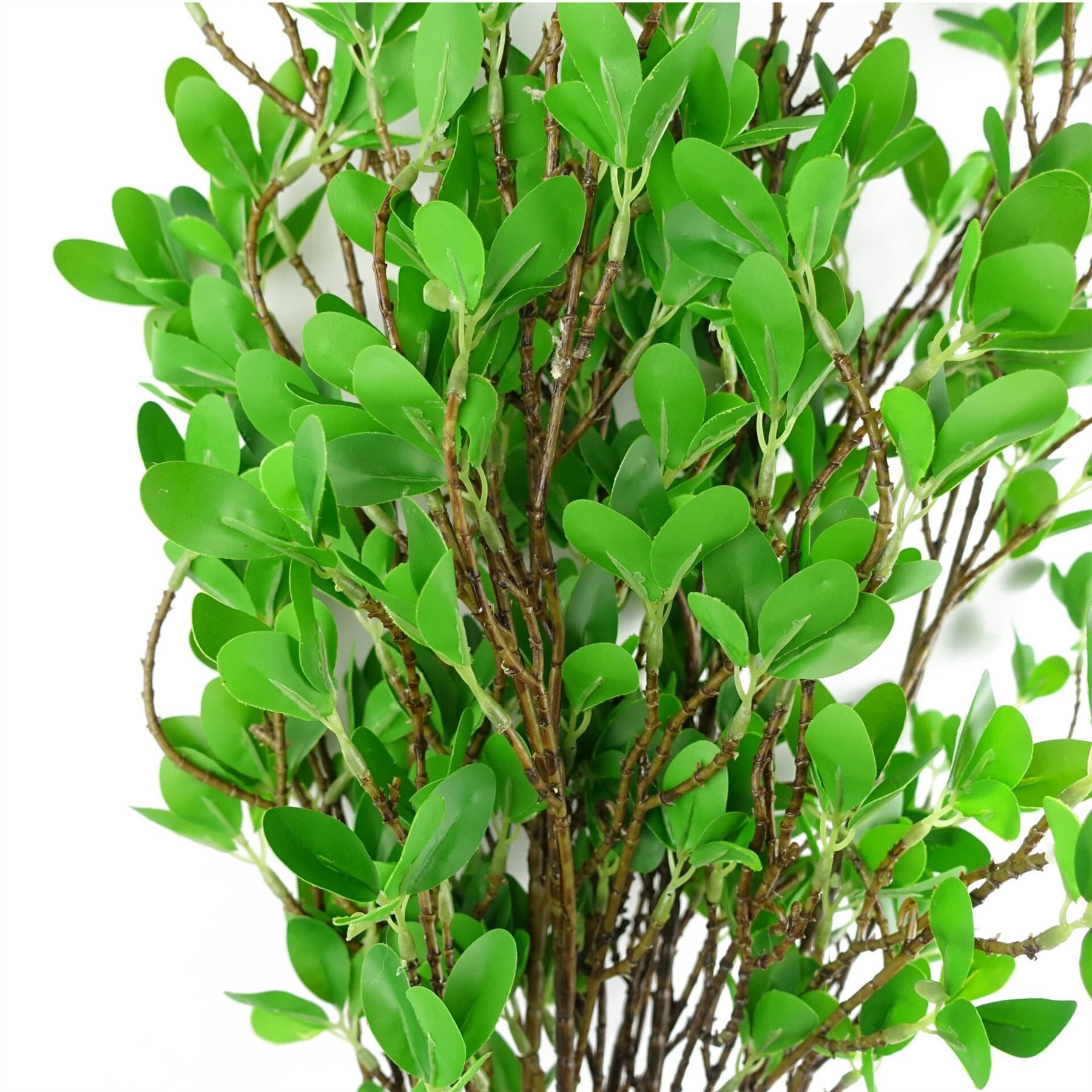 Leaf Pack of 6 100cm Mini Leaf Ficus Stems