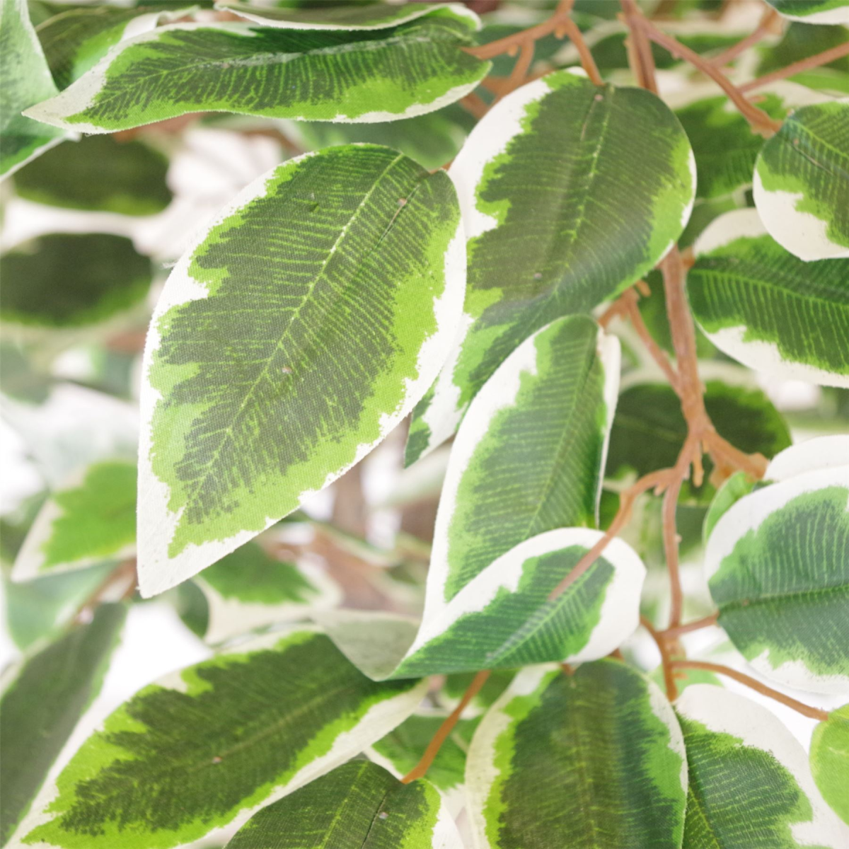 130cm Realistic White Edge Ficus Artificial Tree with Metal Planter