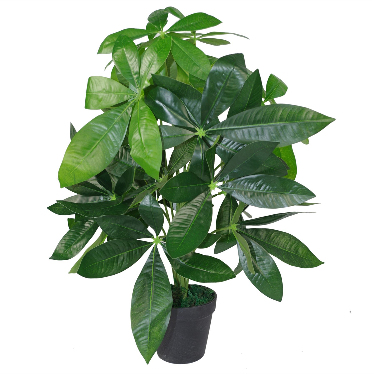 50cm Artificial Money Tree Plant Potted Indoor Pachira Aquatica Faux Plant