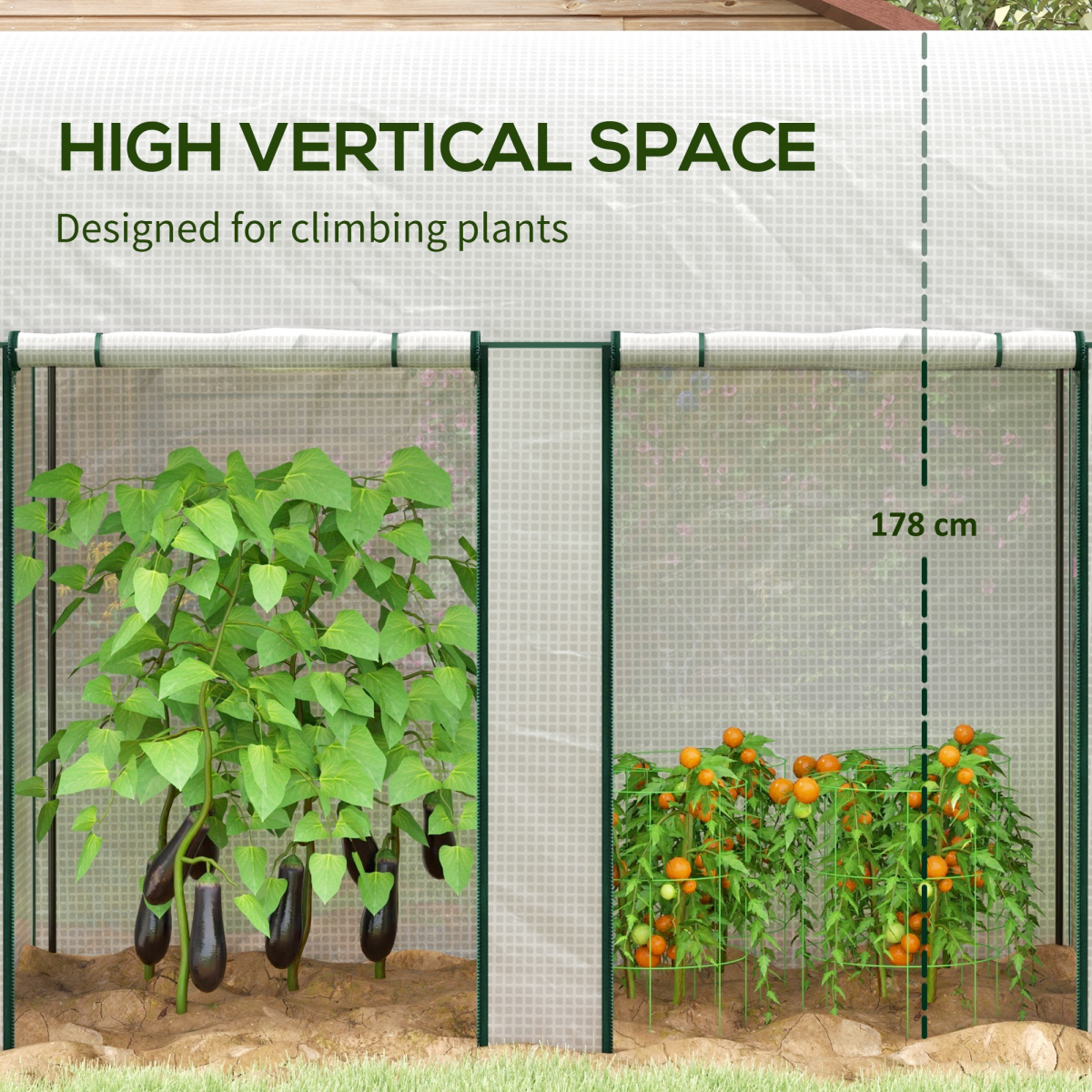 Outsunny Small Tomato Greenhouse 200 x 100 x 178cm, Roll-Up Zipped Doors
