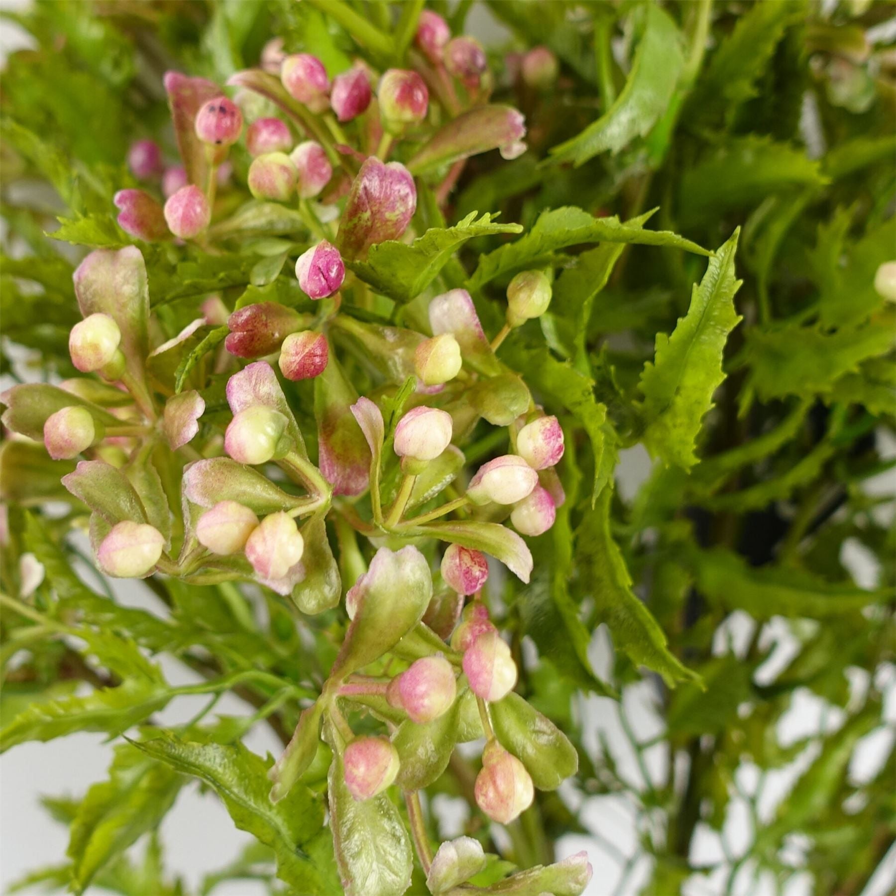 Leaf Pack of 6 55cm Artificial Foliage Stems with Pink Berries