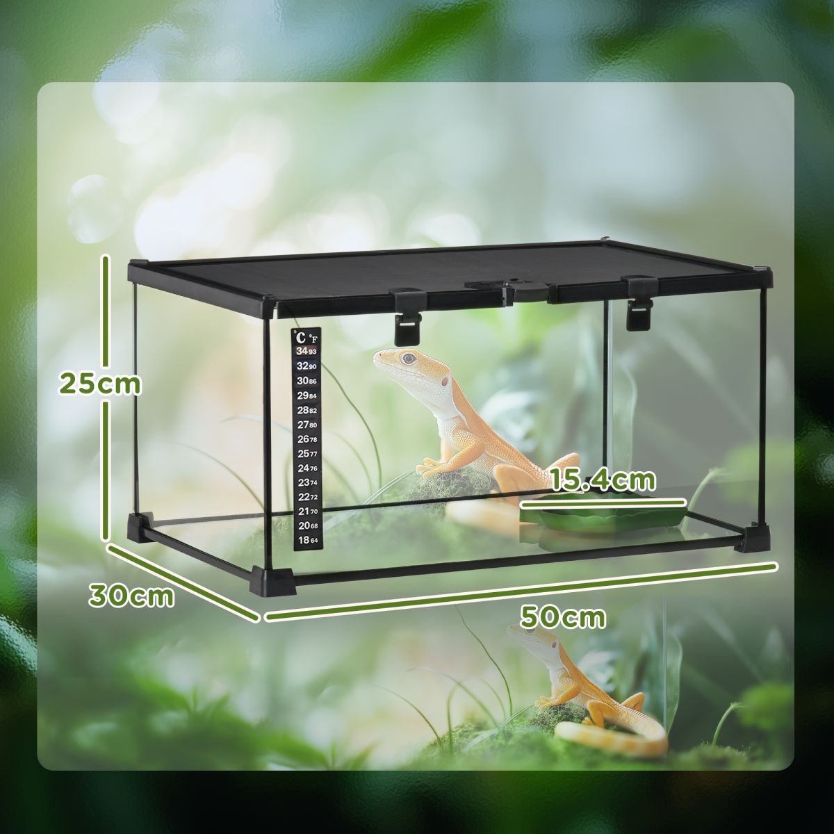 Pawhut Glass Reptile Terrarium Habitat for Lizards, Frogs and Snakes