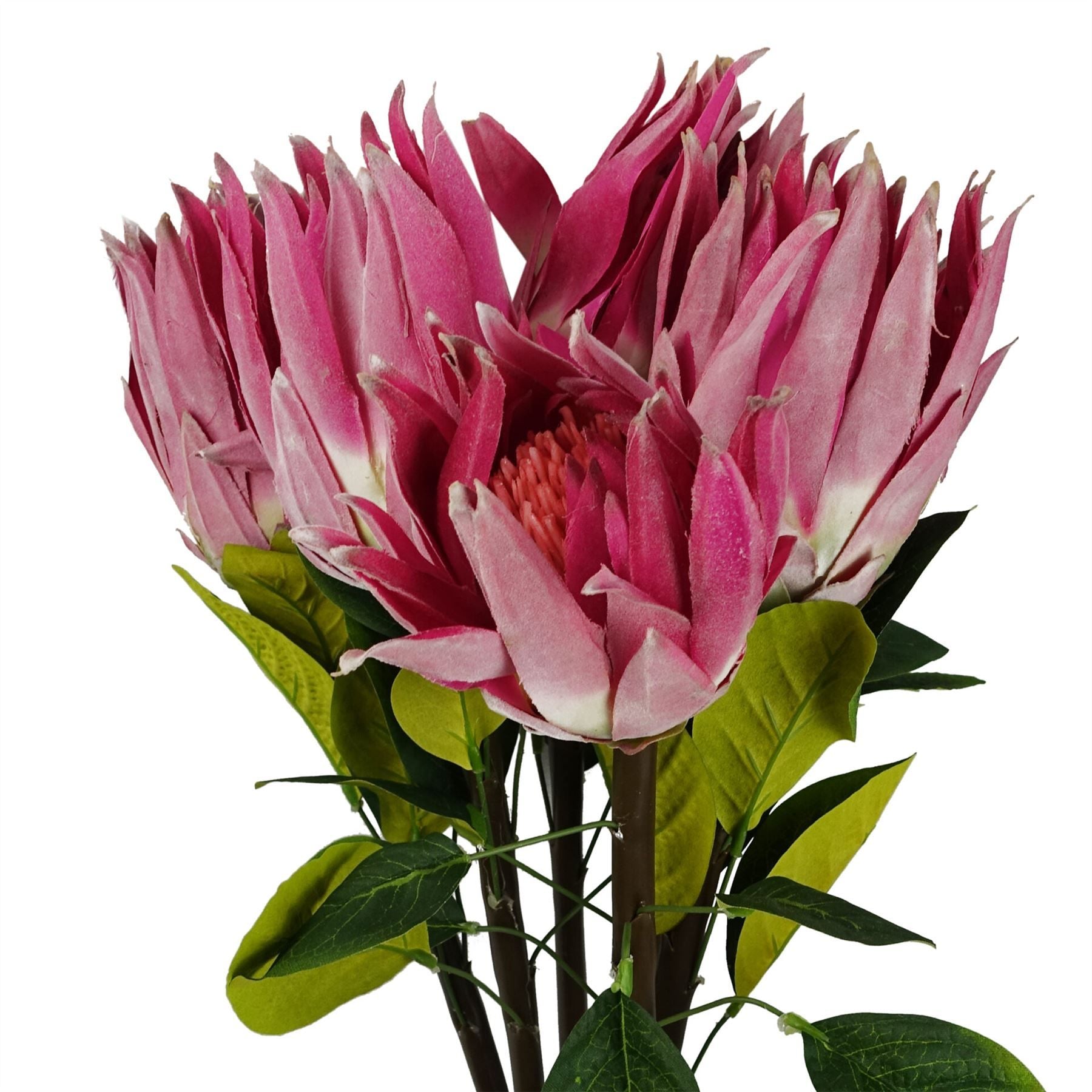 65cm Artificial Pink Protea Sugarbush Flower Stem with Silk Leaves