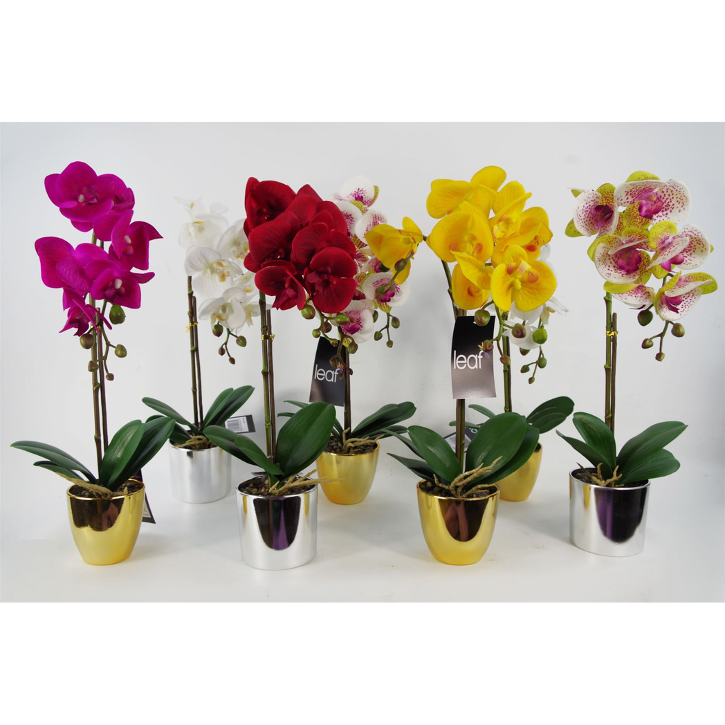 Leaf 46cm Artificial Orchid White/Gold Real Touch in Decorative Plastic Pot