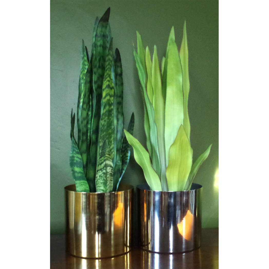 Leaf Design Tropical Artificial Sansevieria Zeylanica Plant 70cm