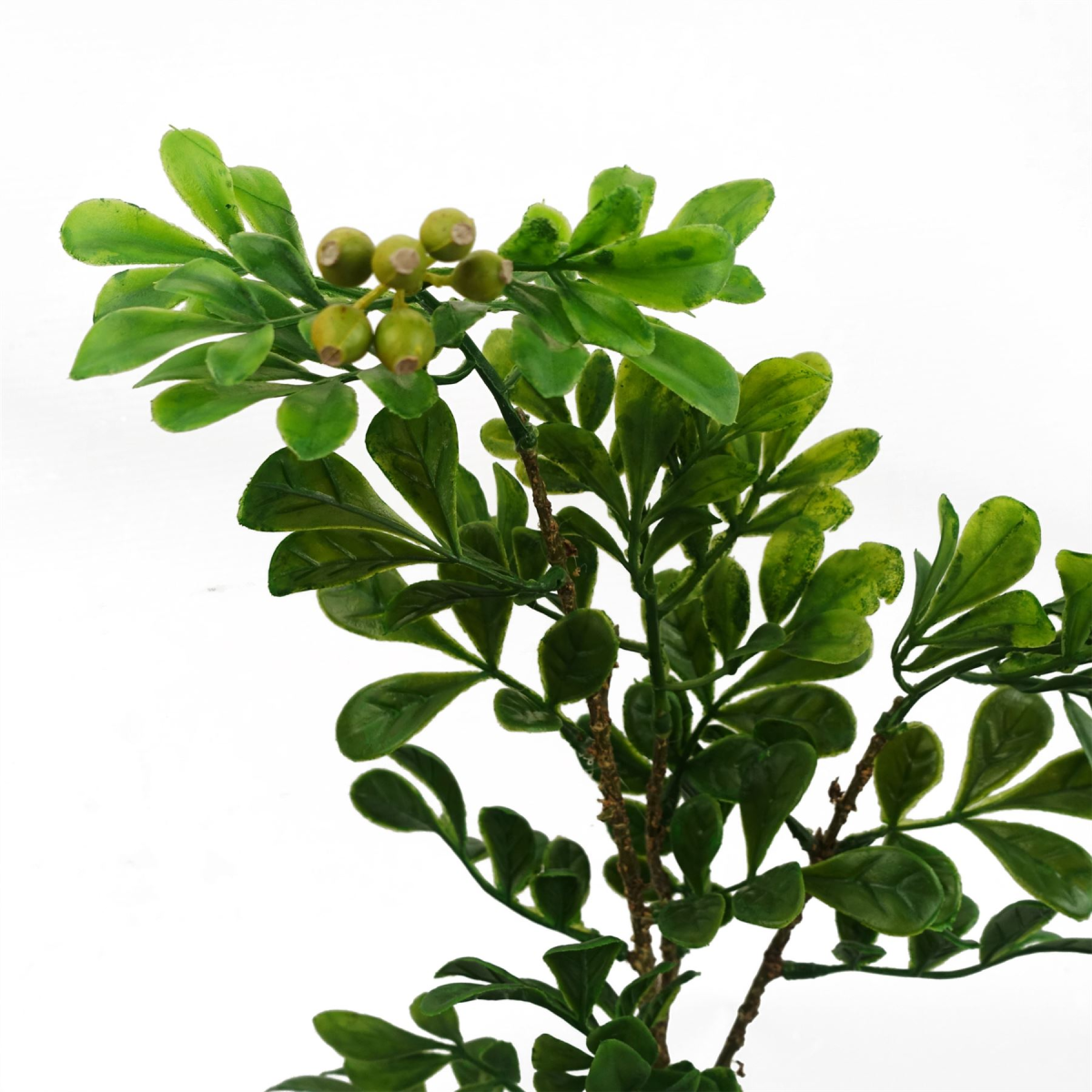 Leaf 45cm Artificial Aglaia Odorata Bonsai Ficus Tree in Plastic Pot