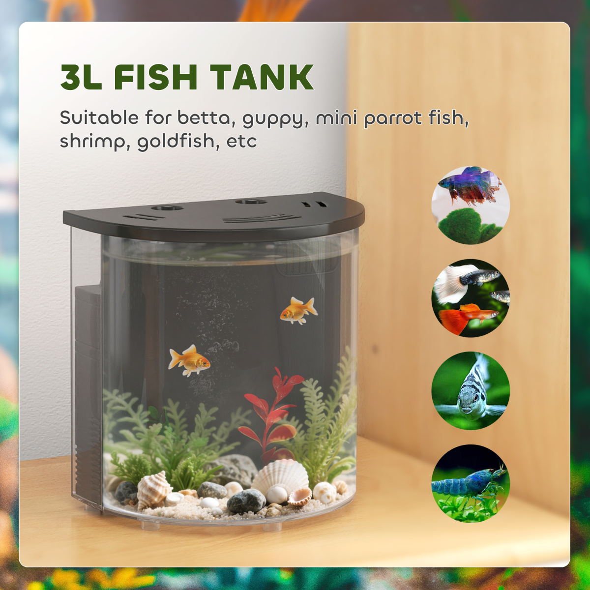 PawHut 3L Nano Fish Tank Starter Kit with Filter, LED Light