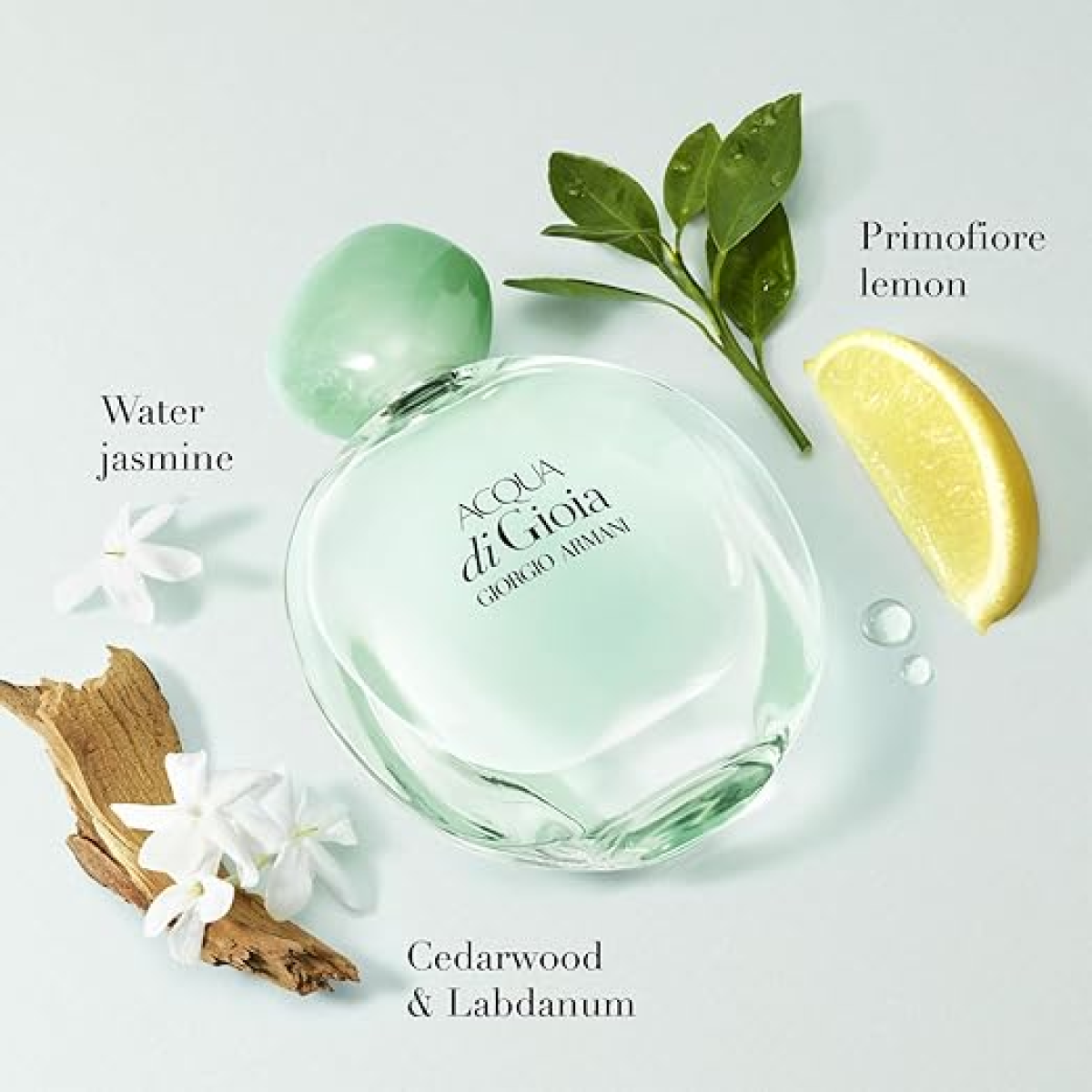 Giorgio Armani Miniature Gift Set: Acqua Di Gio EDT & Acqua Di Gioia EDP