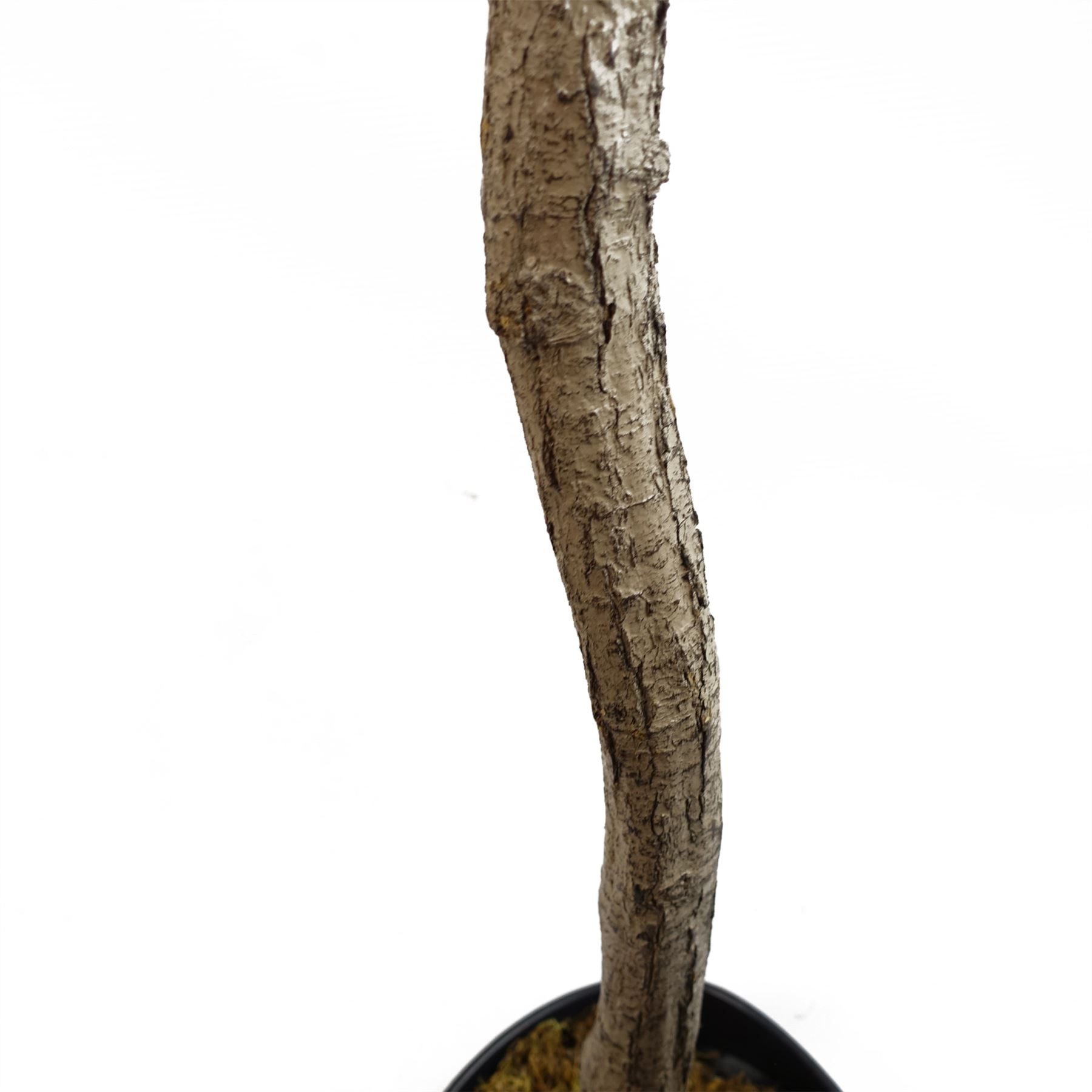 Leaf 180cm Artificial Olive Tree with Natural Trunk and Silk Foliage, Fully Potted