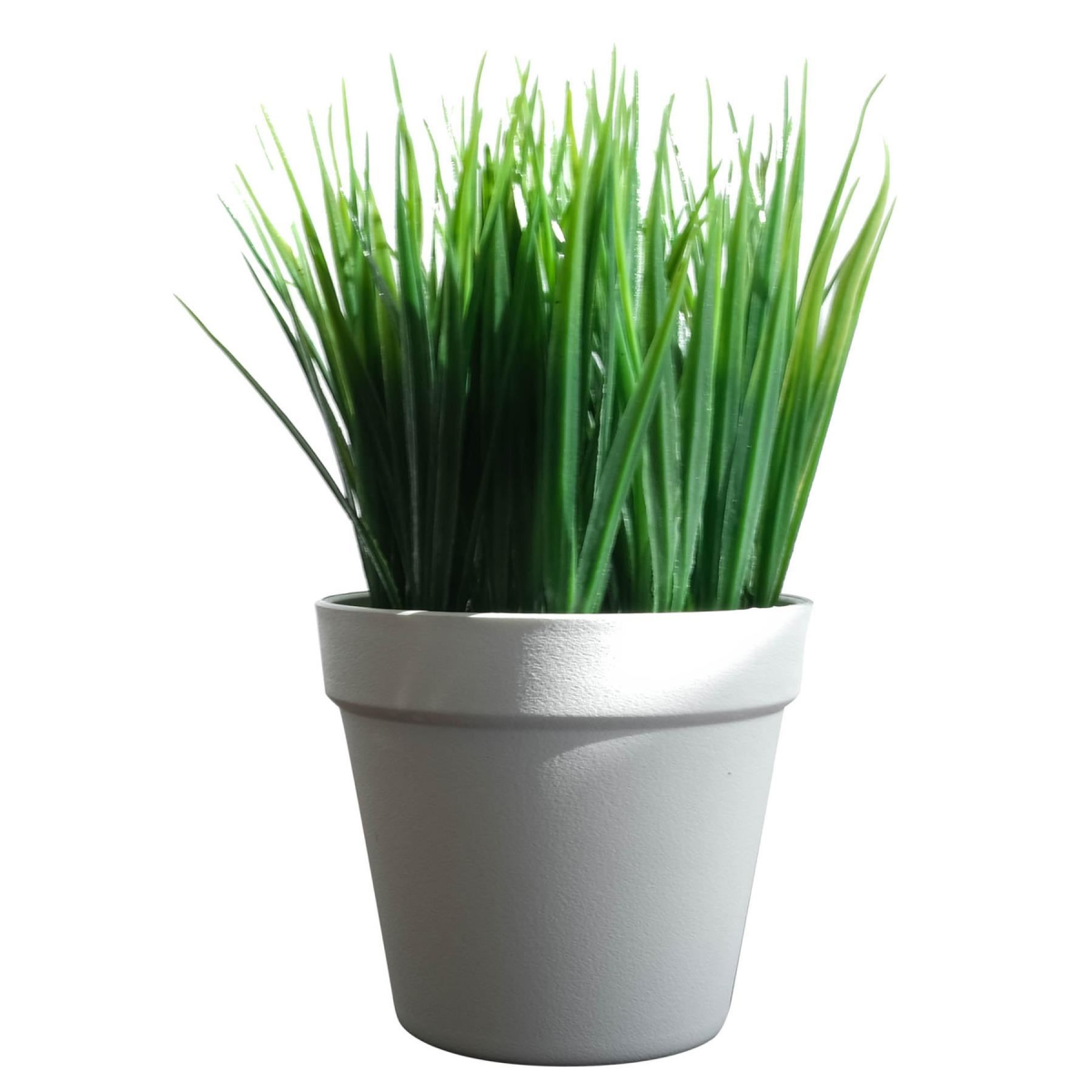 Leaf Pack of 6 22cm Artificial Grass Plant