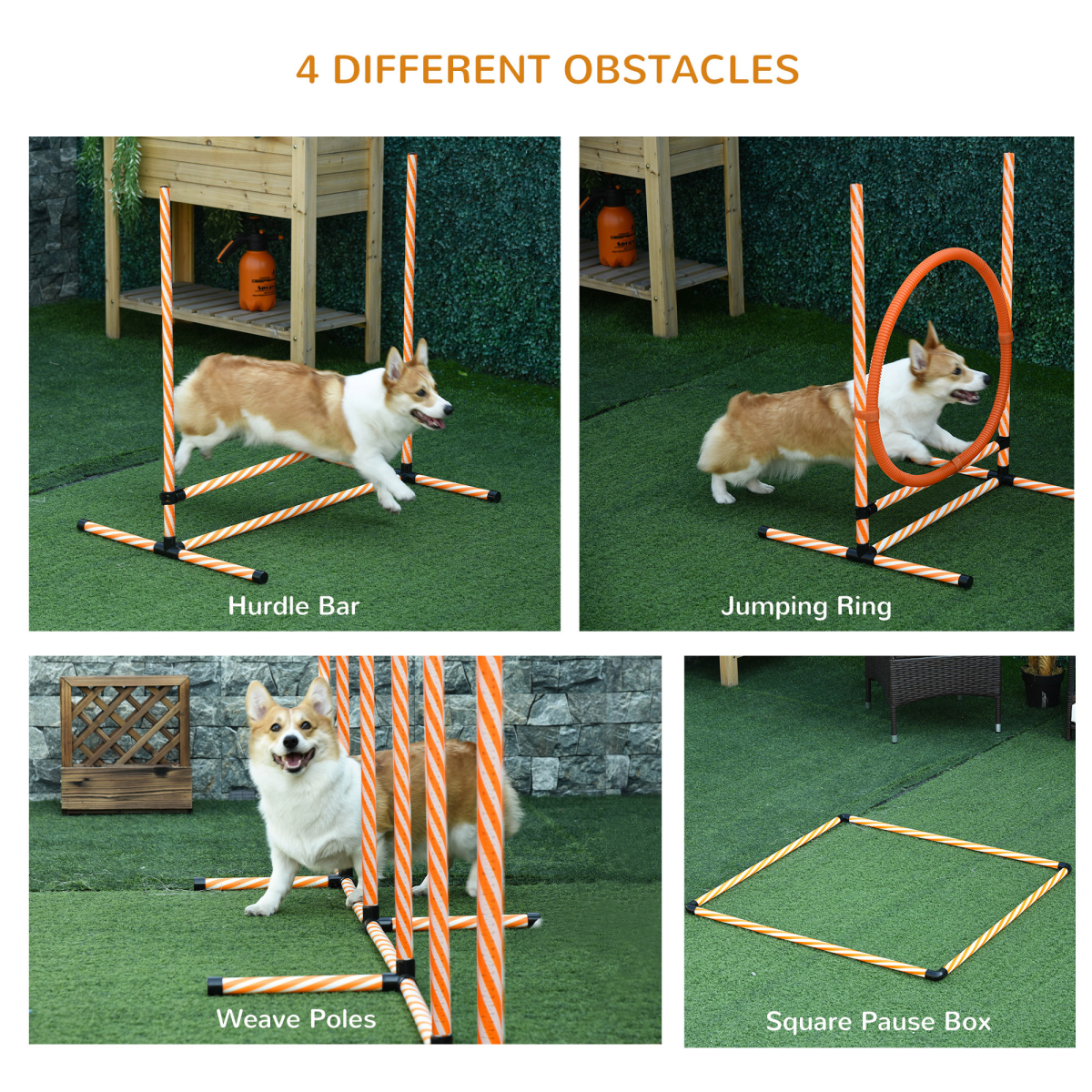 Pawhut Dog Agility Training Set with Adjustable High Jump Ring, Whistle and Storage Bag