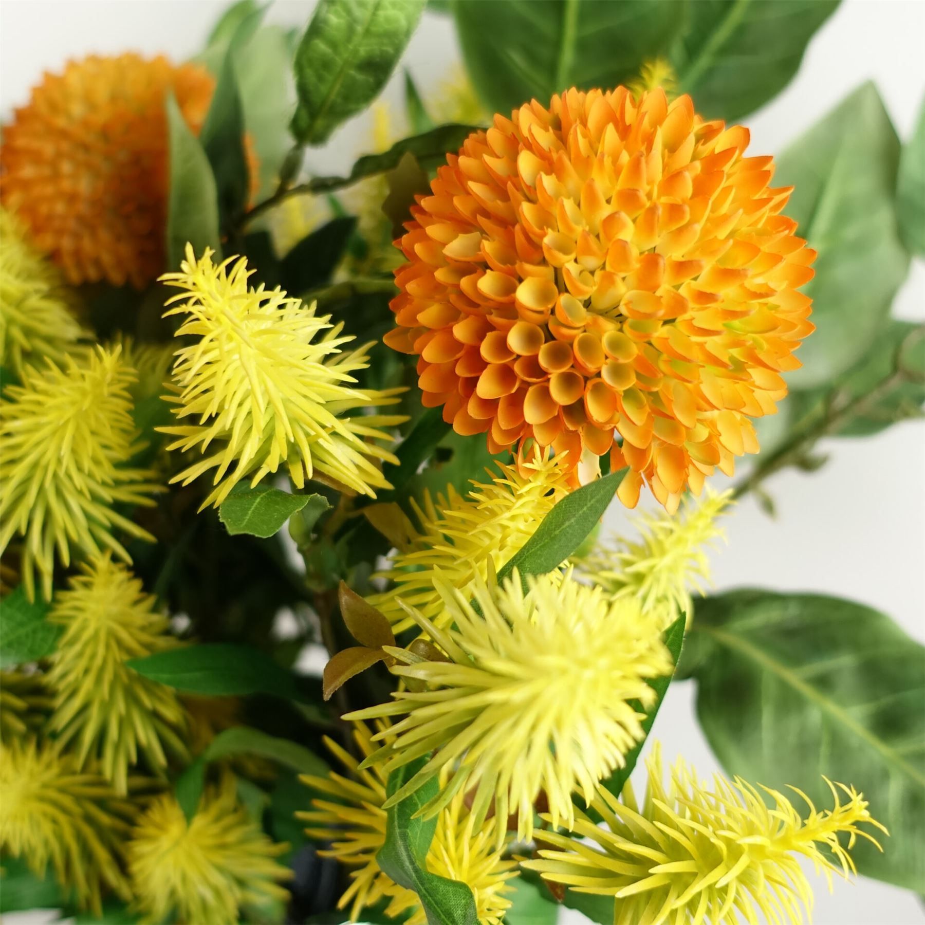 Leaf Pack of 6 x 55cm Callistemon Pallidus Yellow Bottle Brush Stems