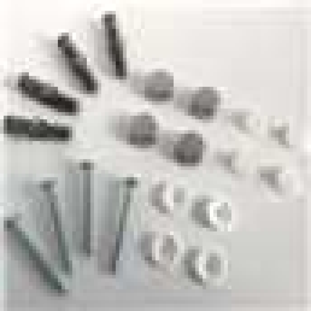 Mirror Hanging Kit for Drilled Mirrors - Screws, Raw Plugs and Chrome Caps
