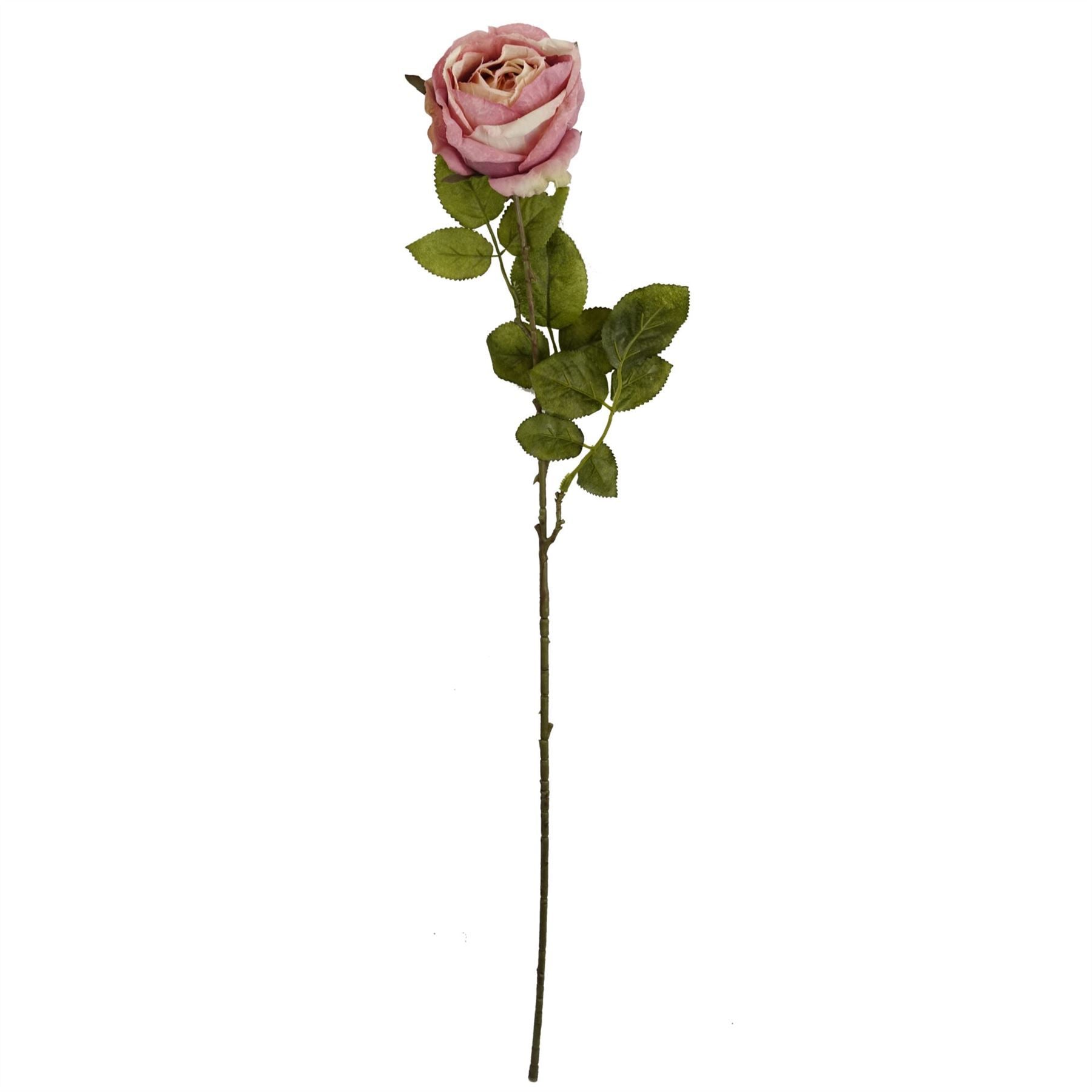Leaf 70cm Artificial Light Pink Silk Rose Stem