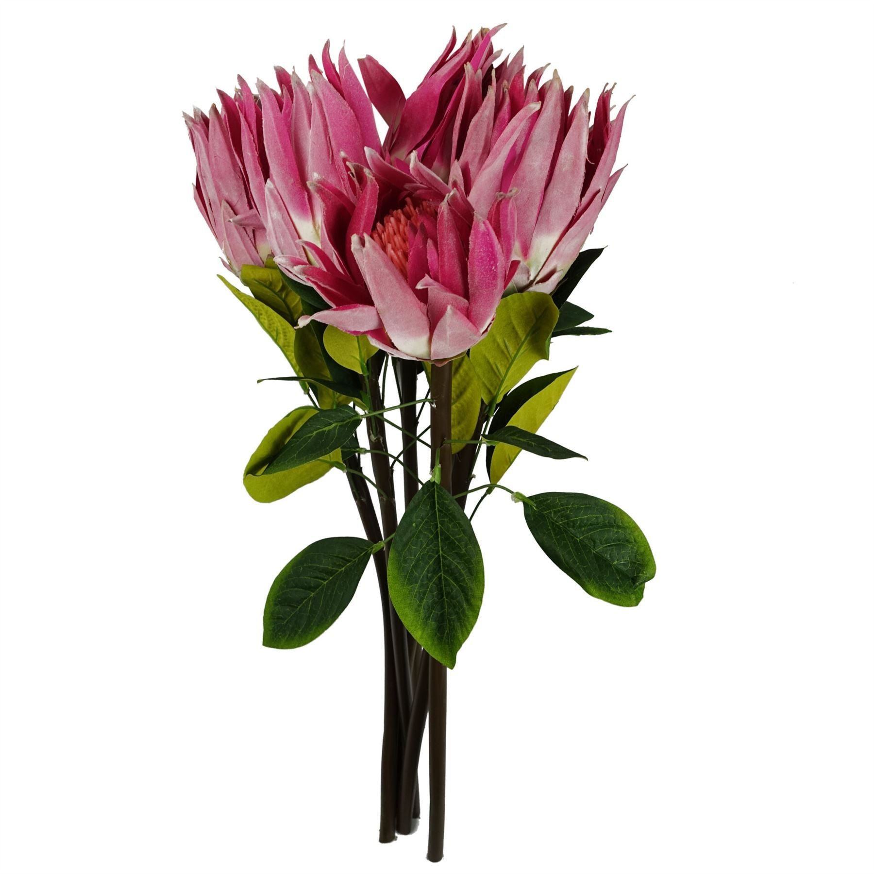 Pack of 6 65cm Artificial Protea Sugarbush Flower Stems, Pink