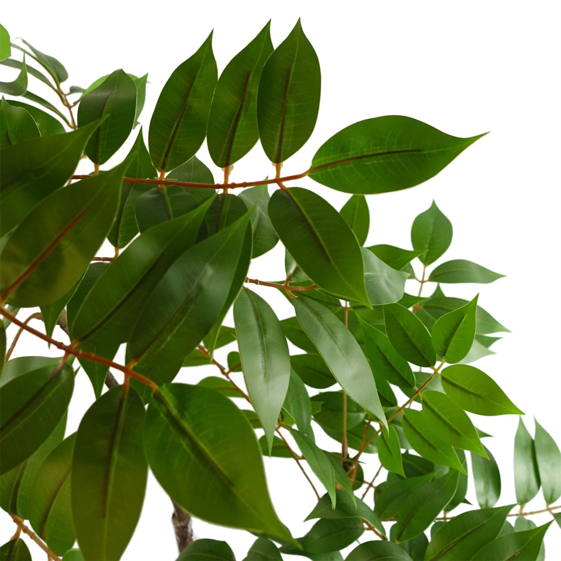 110cm Artificial Toona Sinensis Evergreen Tree in Pot