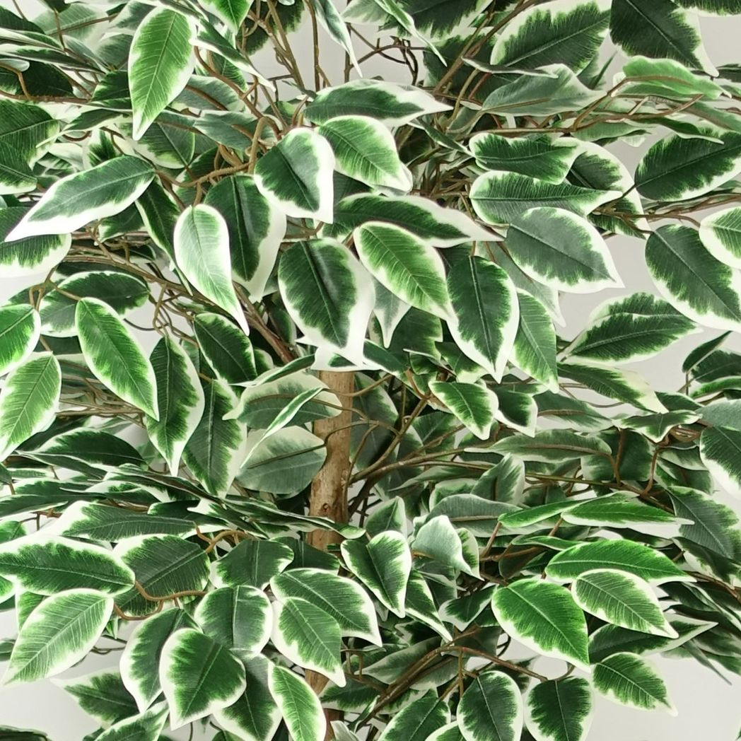 Leaf 150cm Artificial Ficus Tree with 1008 Silk Leaves