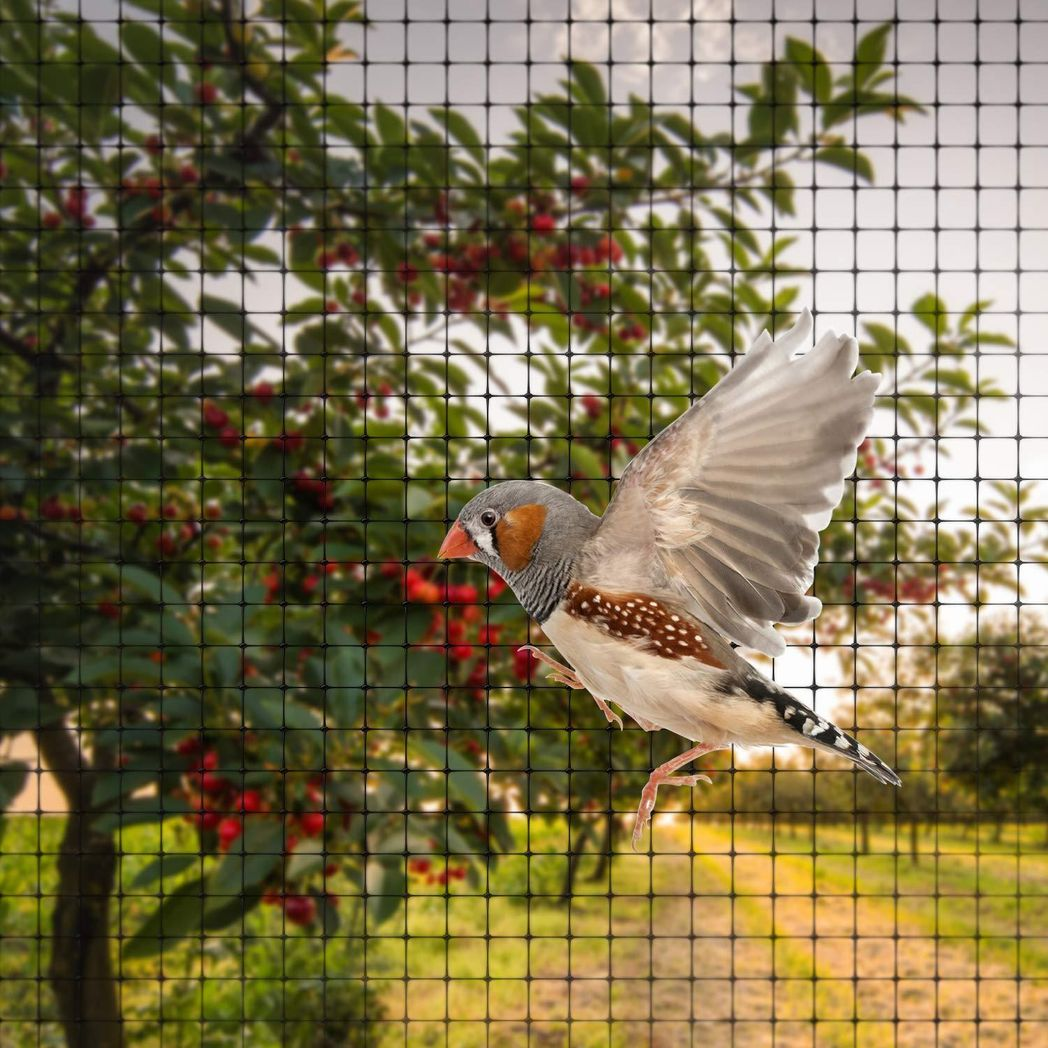 12 X GARDEN NETTING 2M X 10M