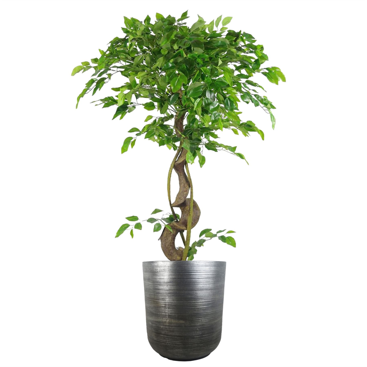 Leaf Coya Large Silver Ridged Fibreglass Cement Composite Planter 39 x 33 cm