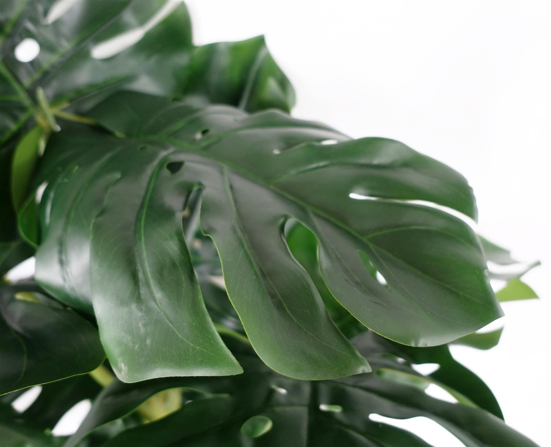 150cm Artificial Monstera Plant in Weighted Pot, Premium Quality, Highly Realistic, Ready to Display