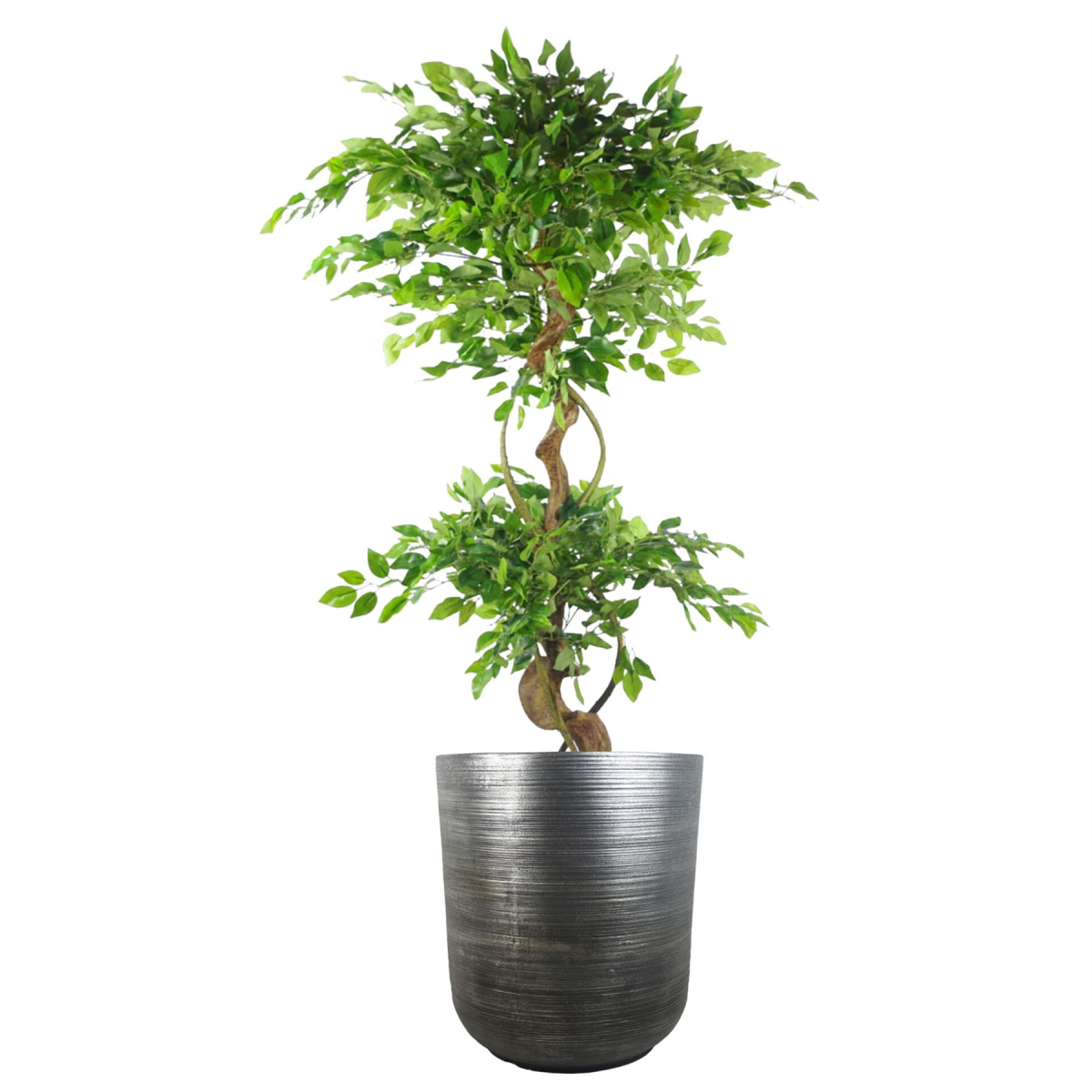 Leaf Coya Silver Ridged Planter 47cm Extra Large Composite Plant Pot