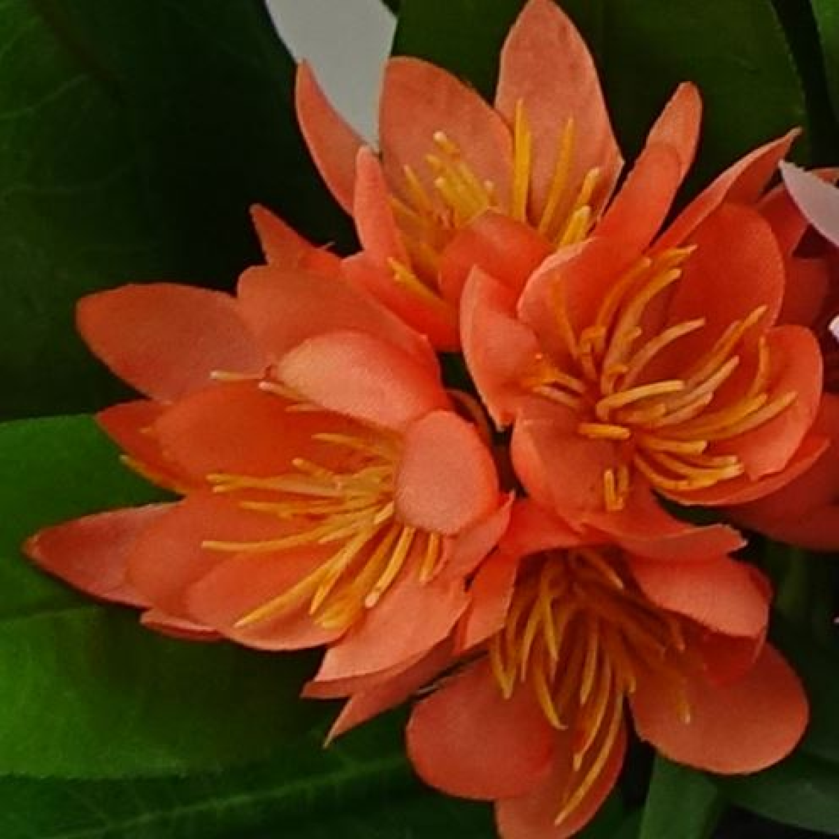Leaf 3 x 18cm Artificial Freesia Plants, Pink, Orange & Yellow