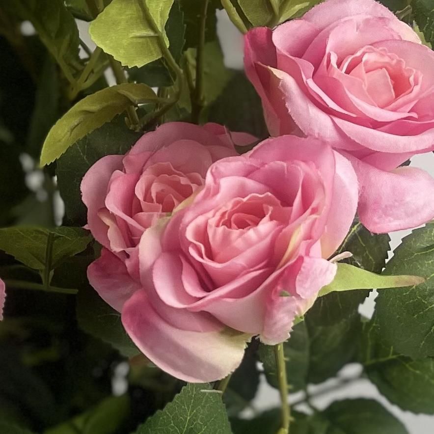 Leaf 60cm Premium Artificial Pink Rose Bush with Silk Flowers and Leaves, Potted