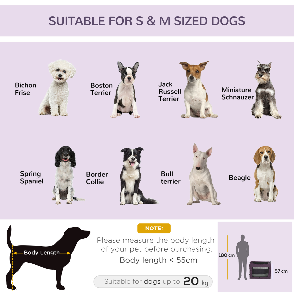 Foldable Pet Carrier Bag with Cushion for Small and Medium Dogs - Purple