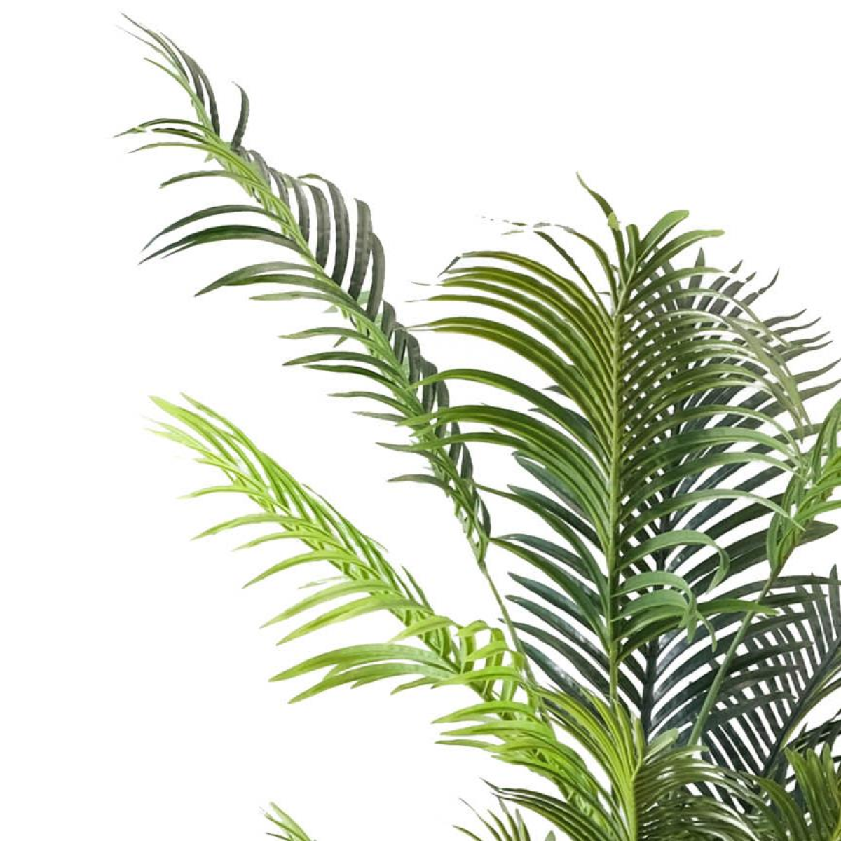 Leaf 160cm Artificial Palm Tree with 15 Leaves in White Pot
