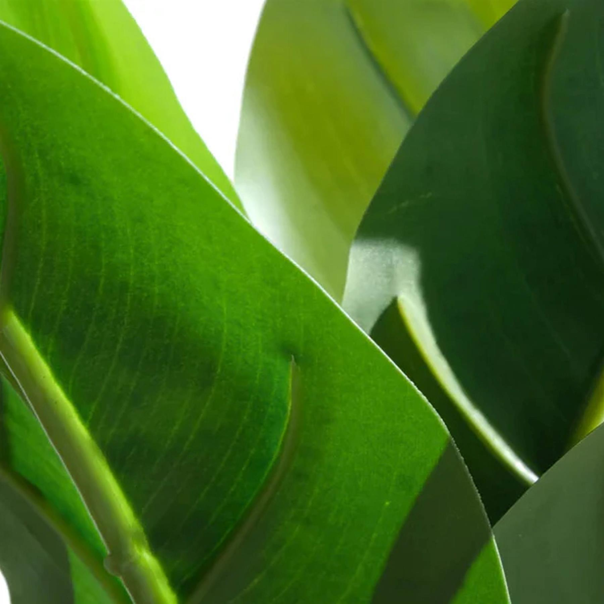 Leaf 45cm Artificial Aureum Plant in Pot
